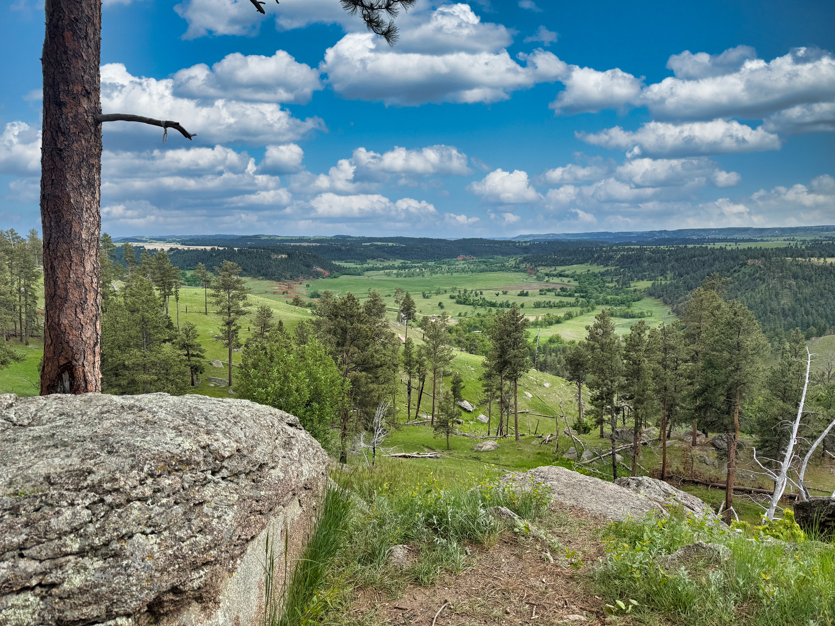 Devil's Tower prairie