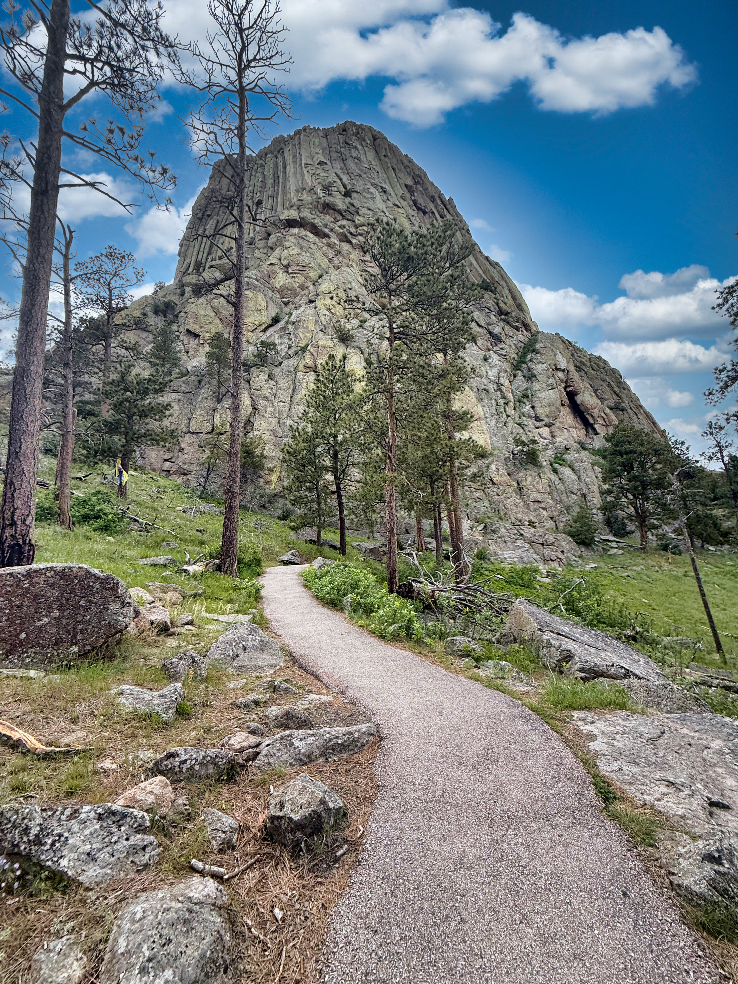 Devil's Tower base