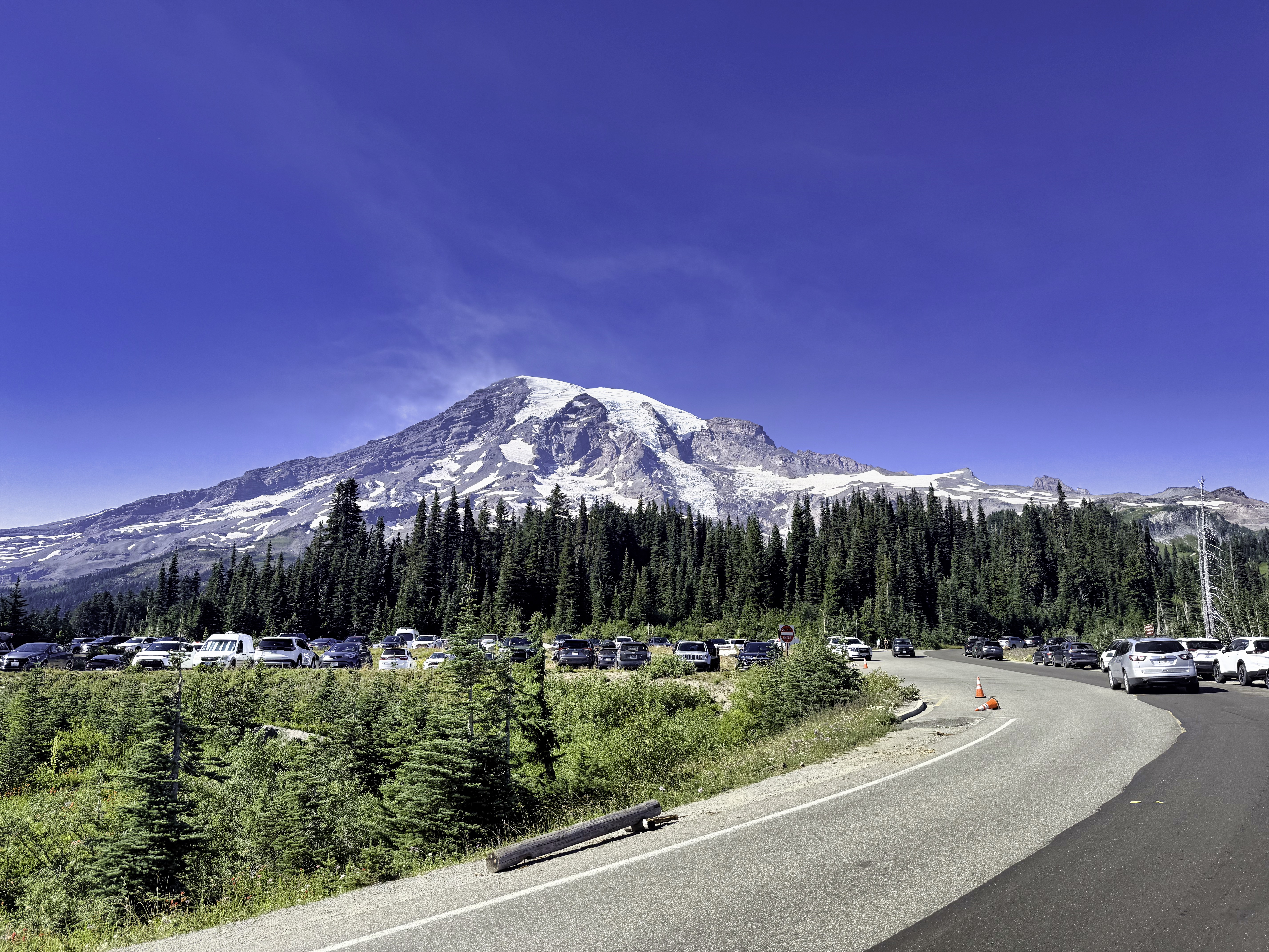 Mount Rainier landscape