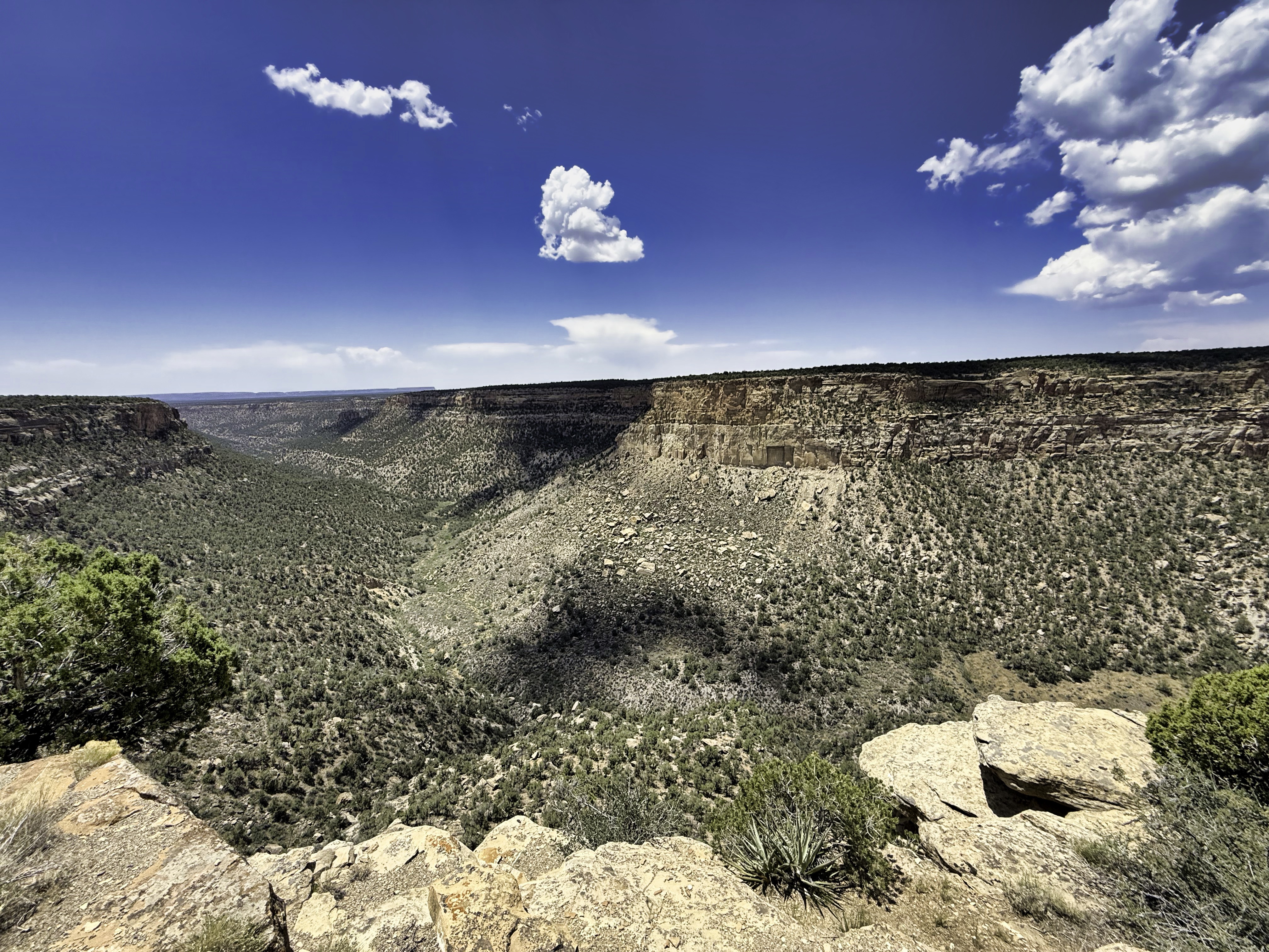 Cliff Palace at Mesa Verde