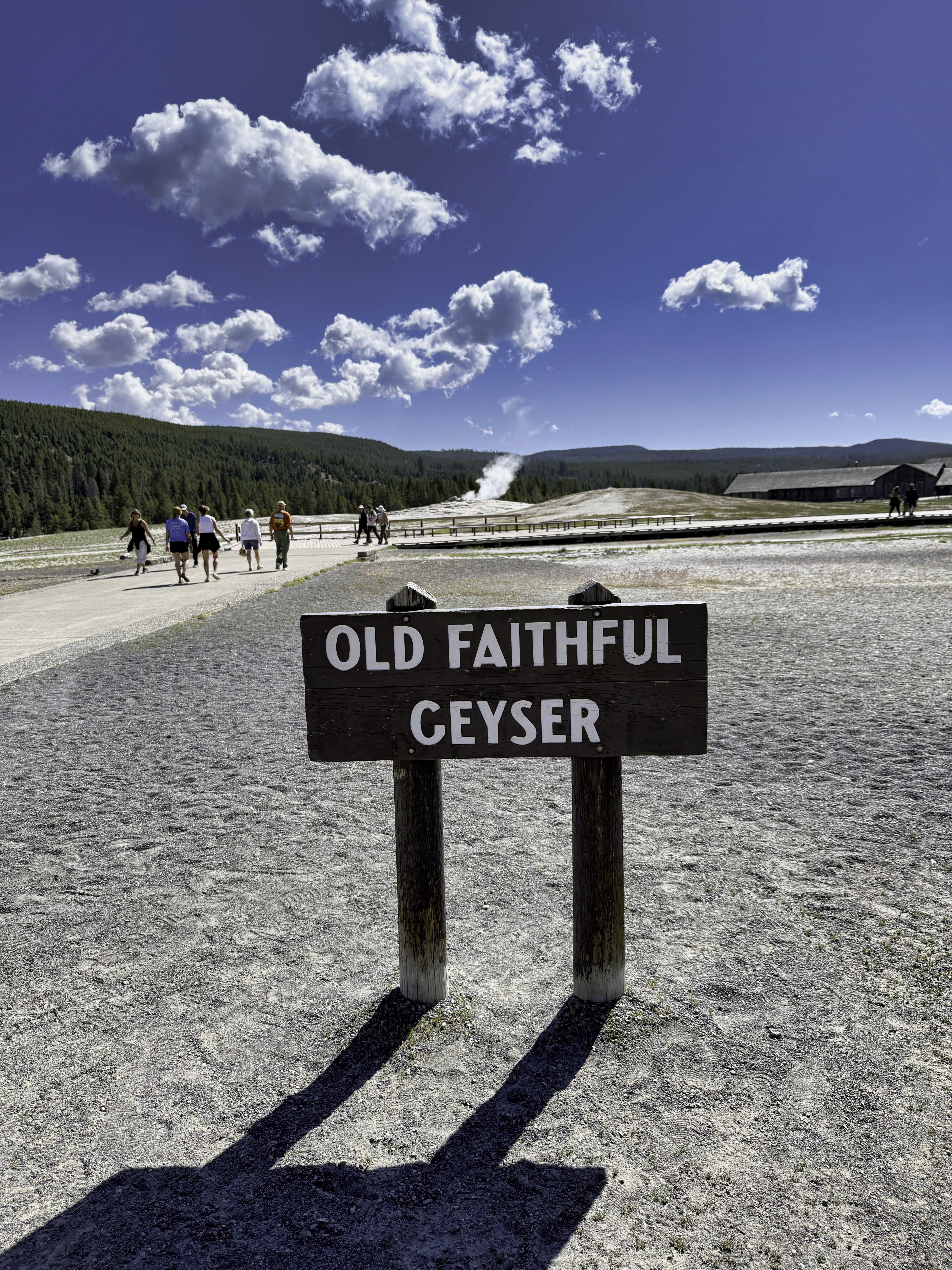 Yellowstone vista