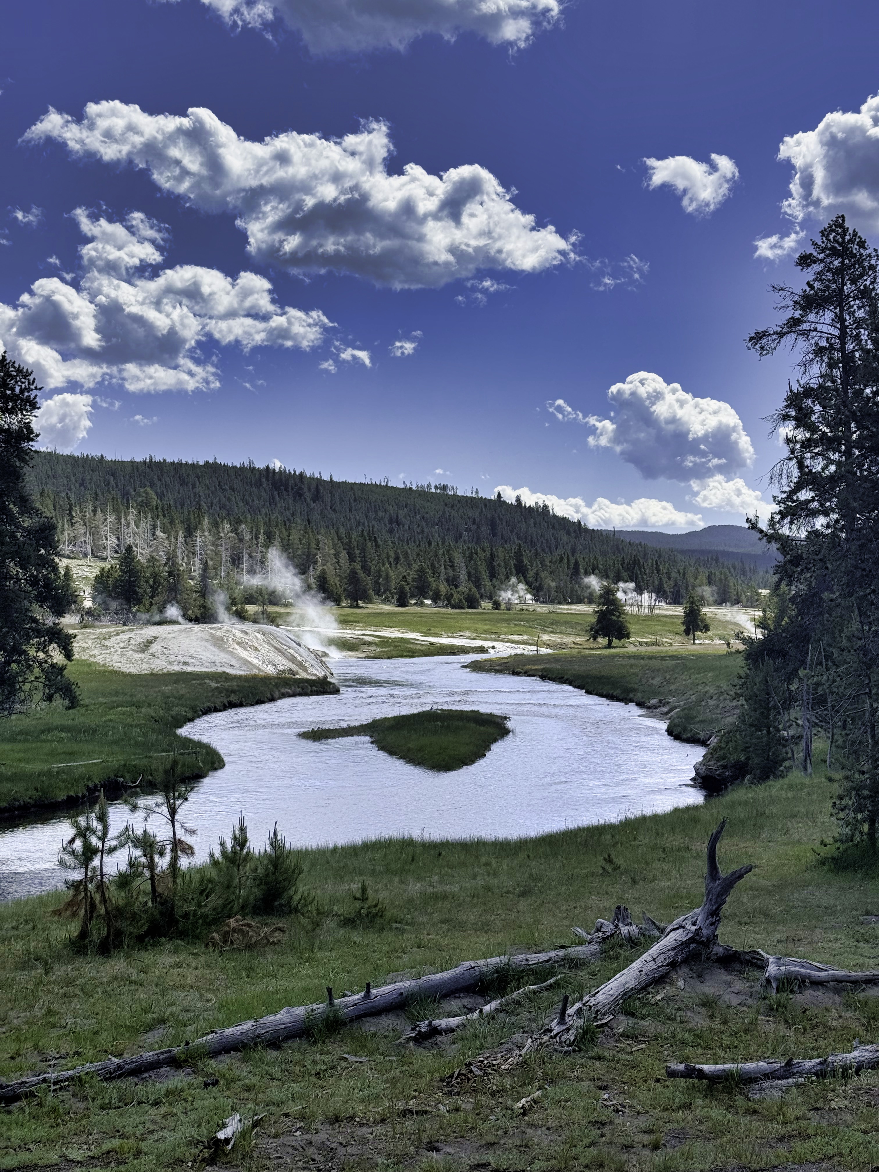 Yellowstone landscape
