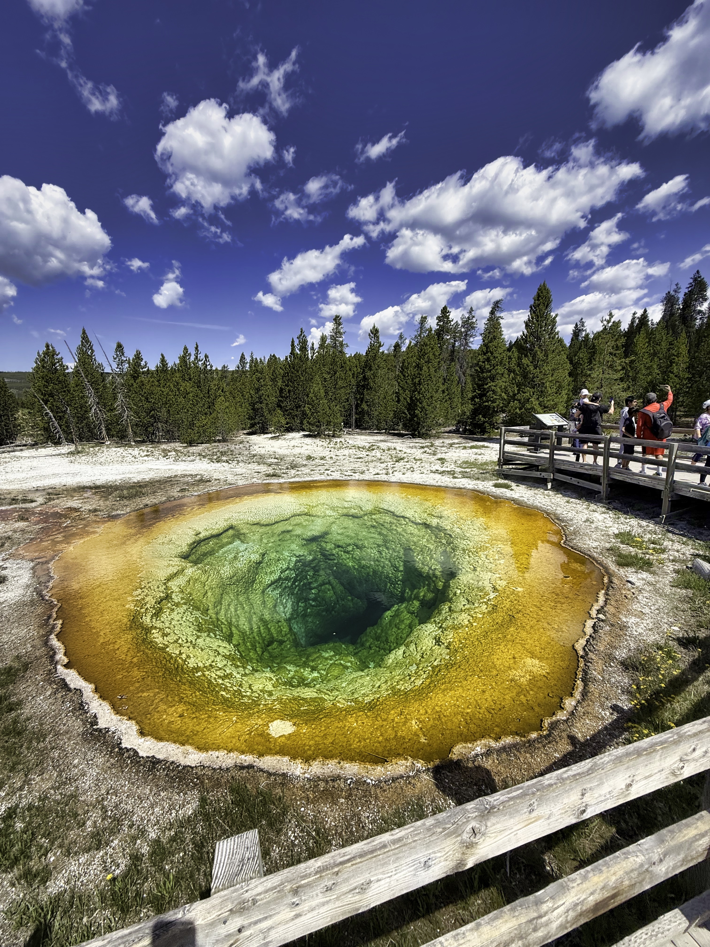 Yellowstone thermal feature