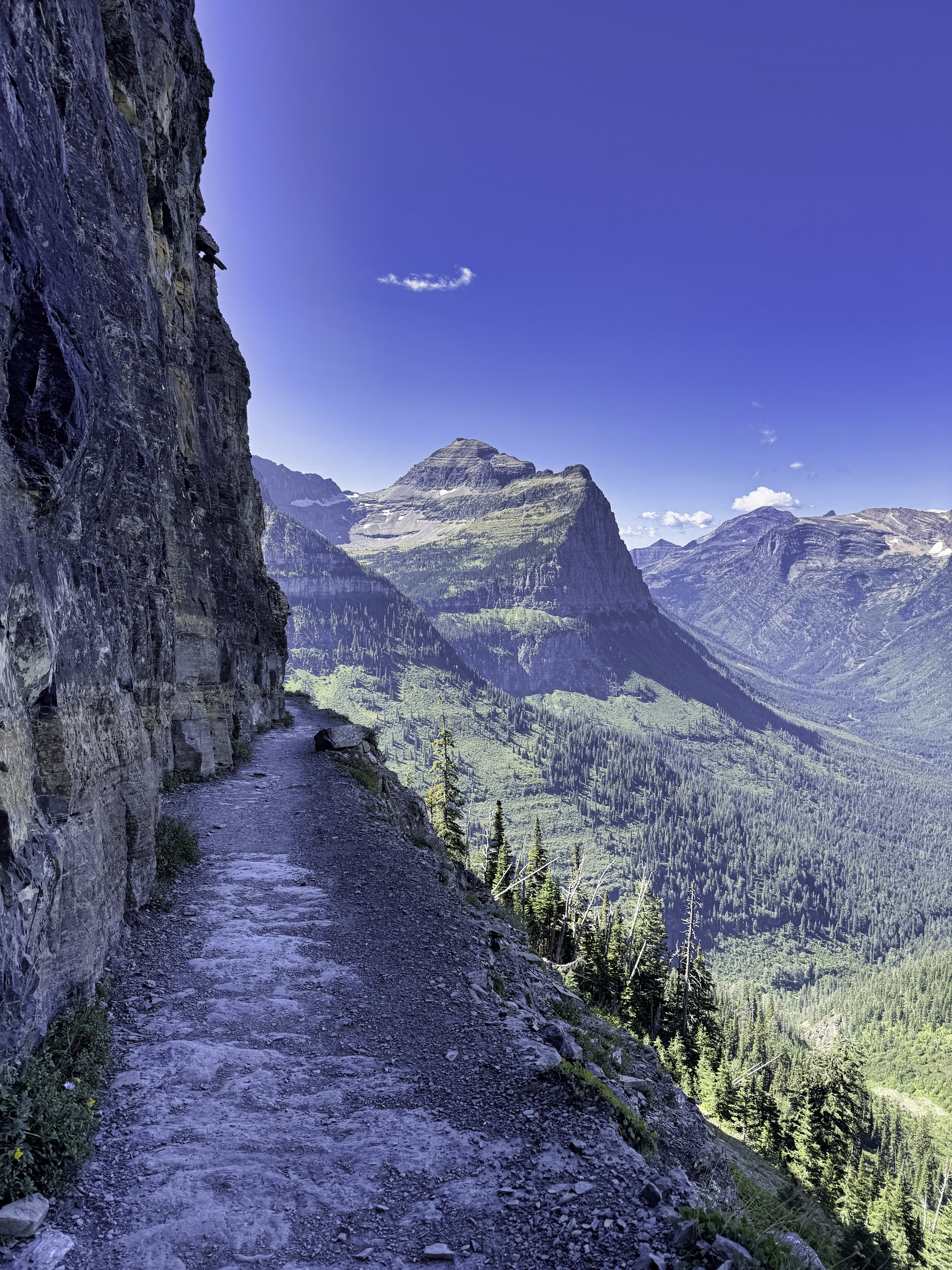 Glacier valley vista