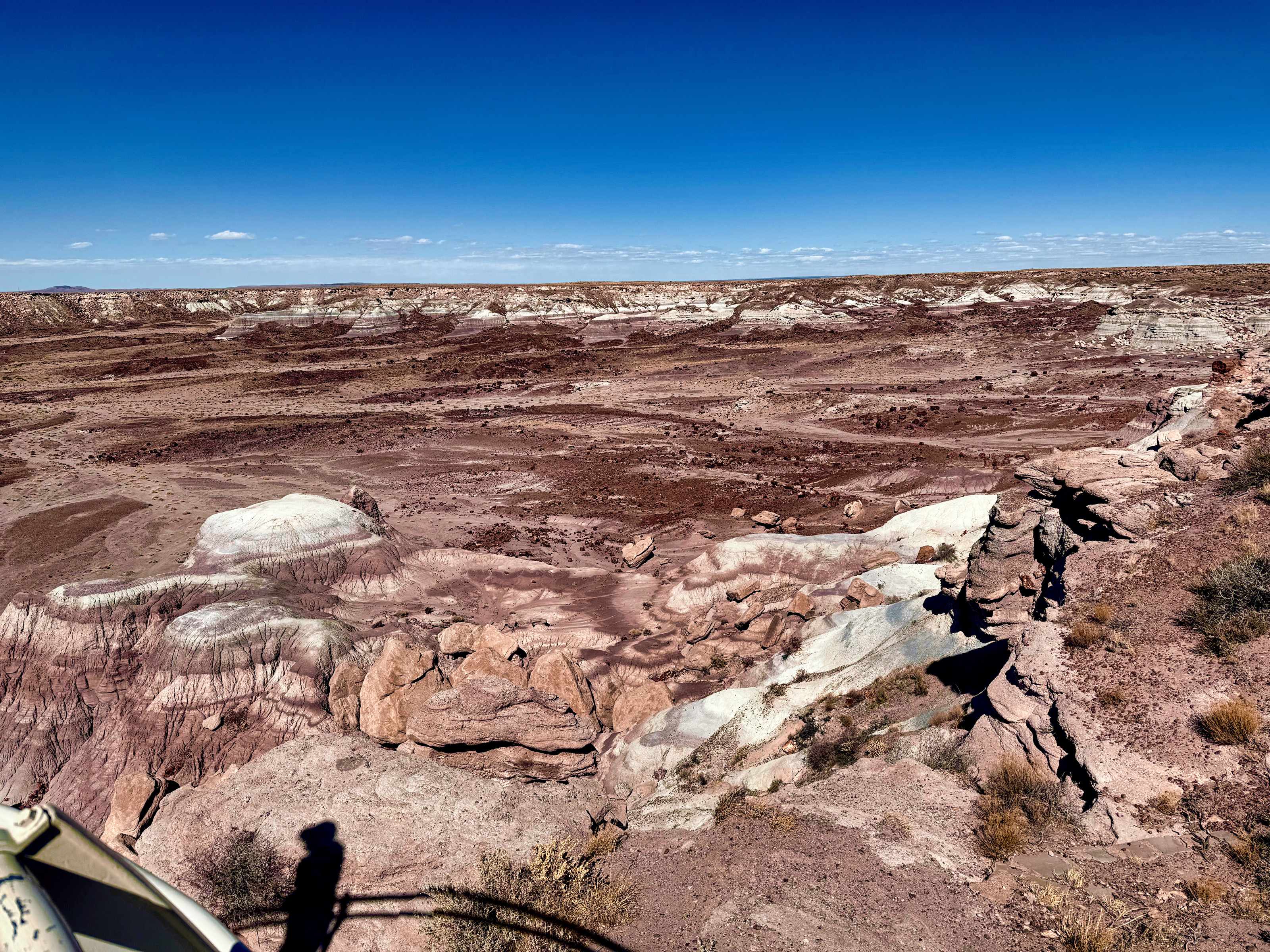 Petrified Forest National Park