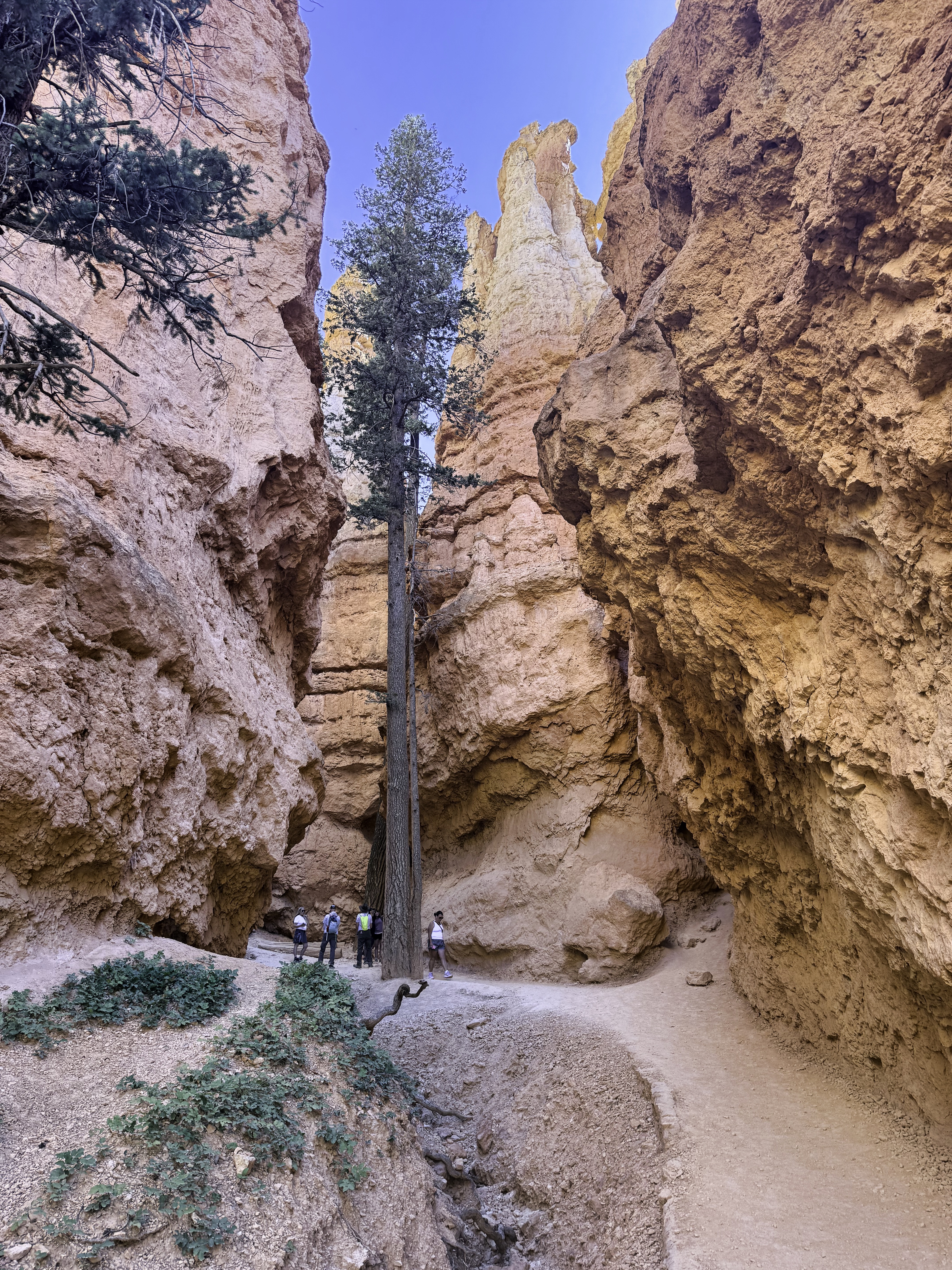 Bryce Canyon National Park