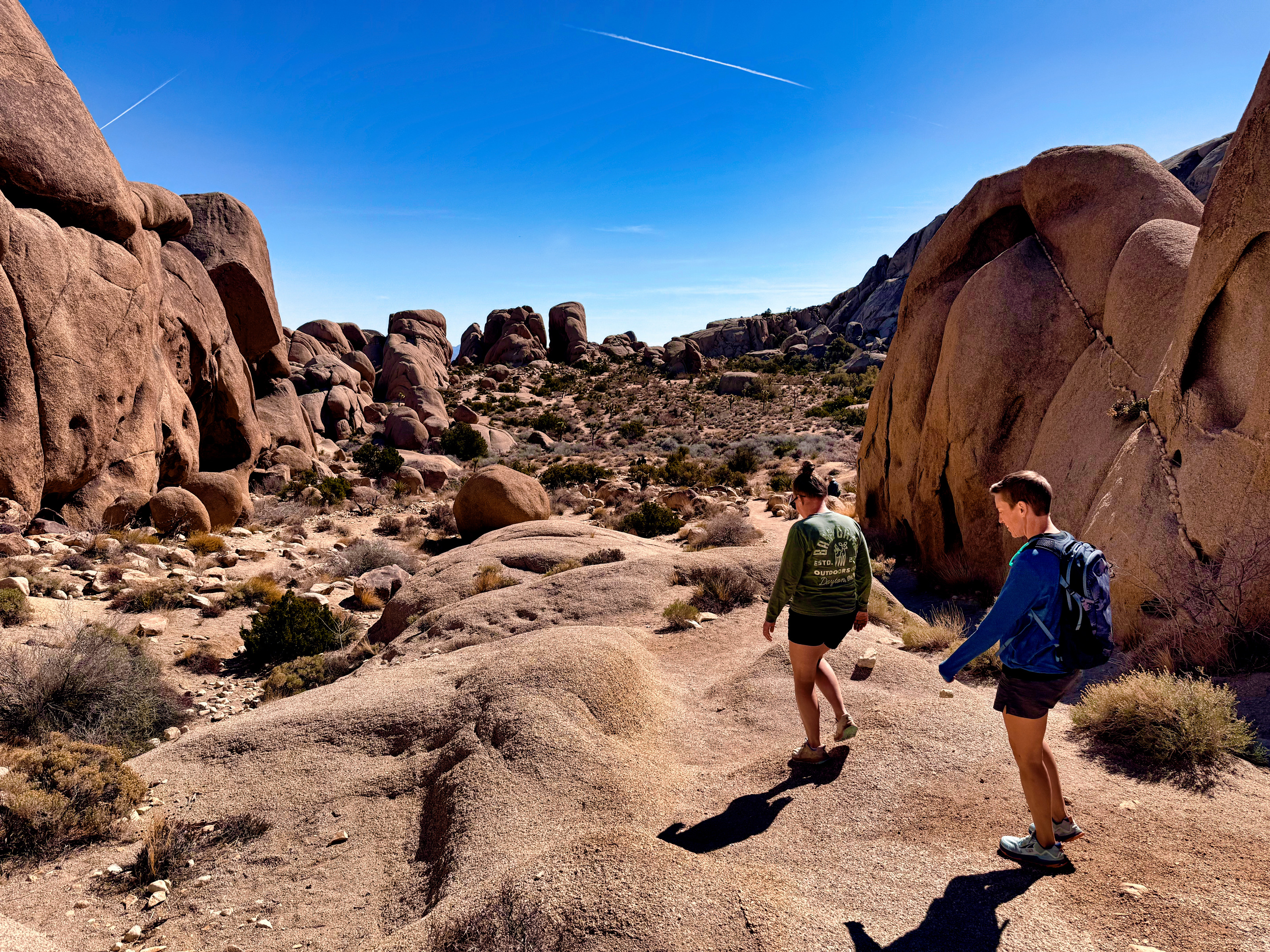 Joshua Tree National Park