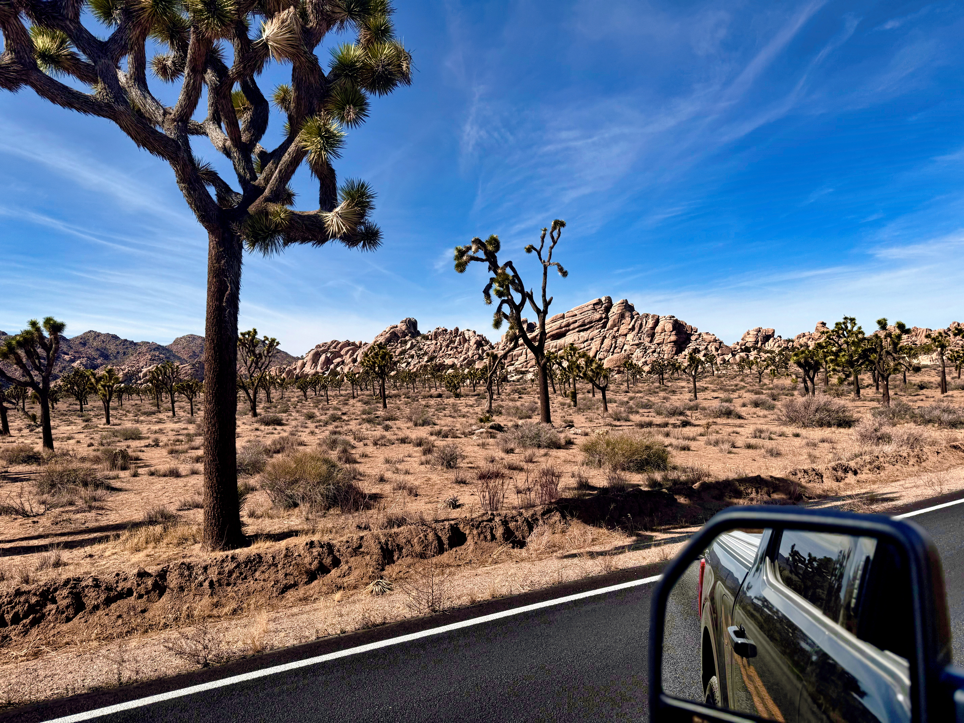 Joshua Tree National Park