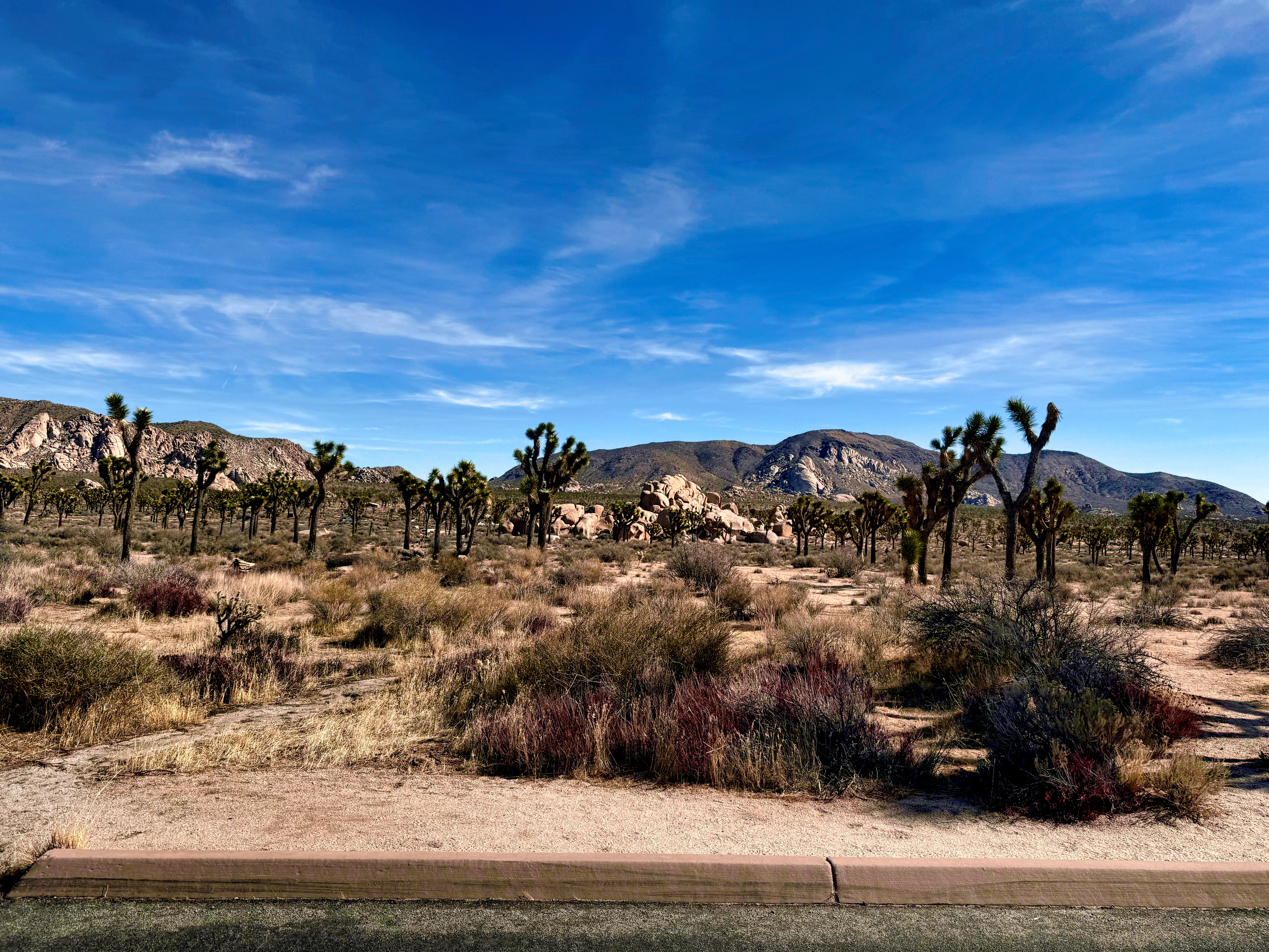 Joshua Tree National Park