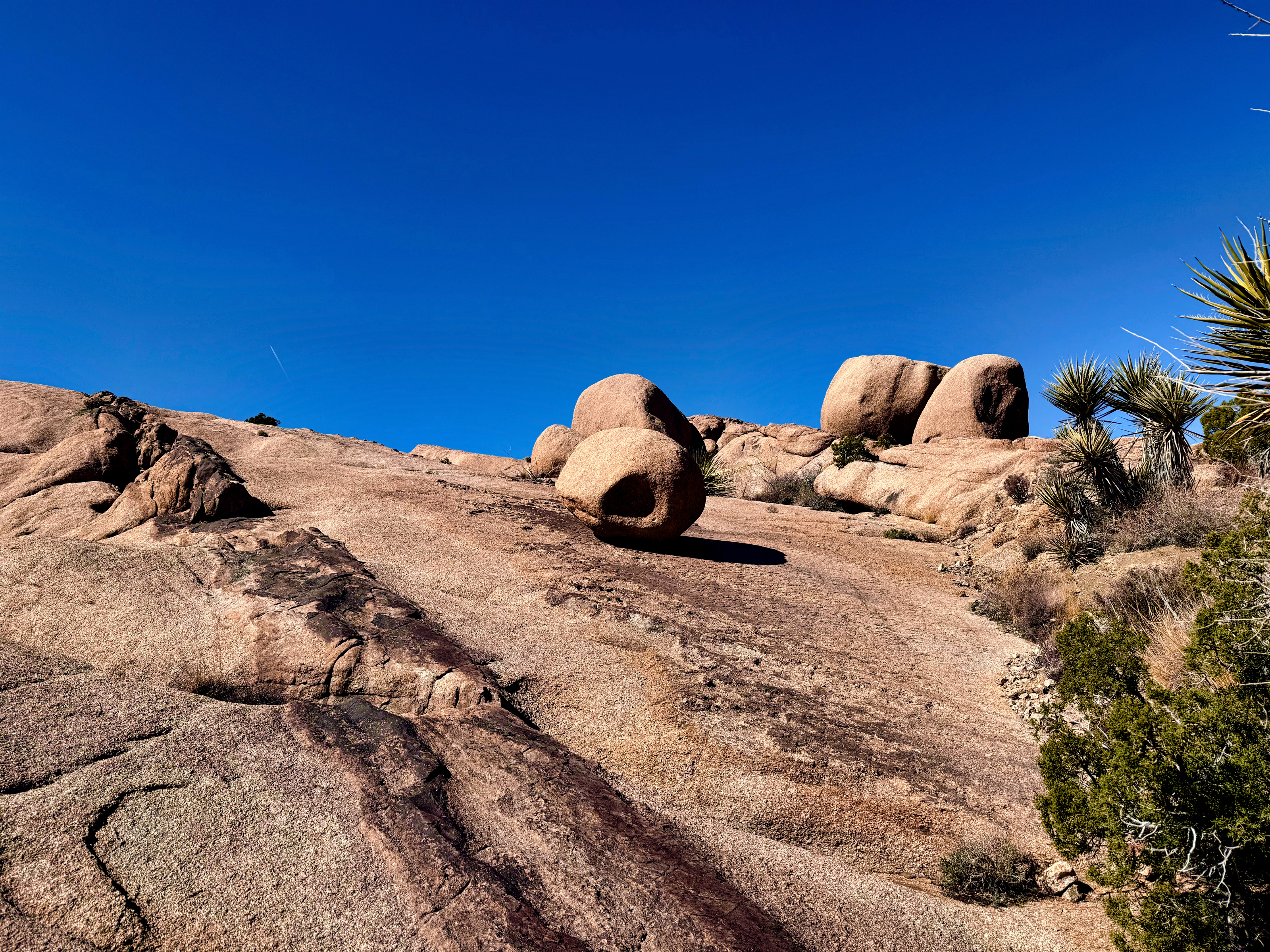Joshua Tree National Park