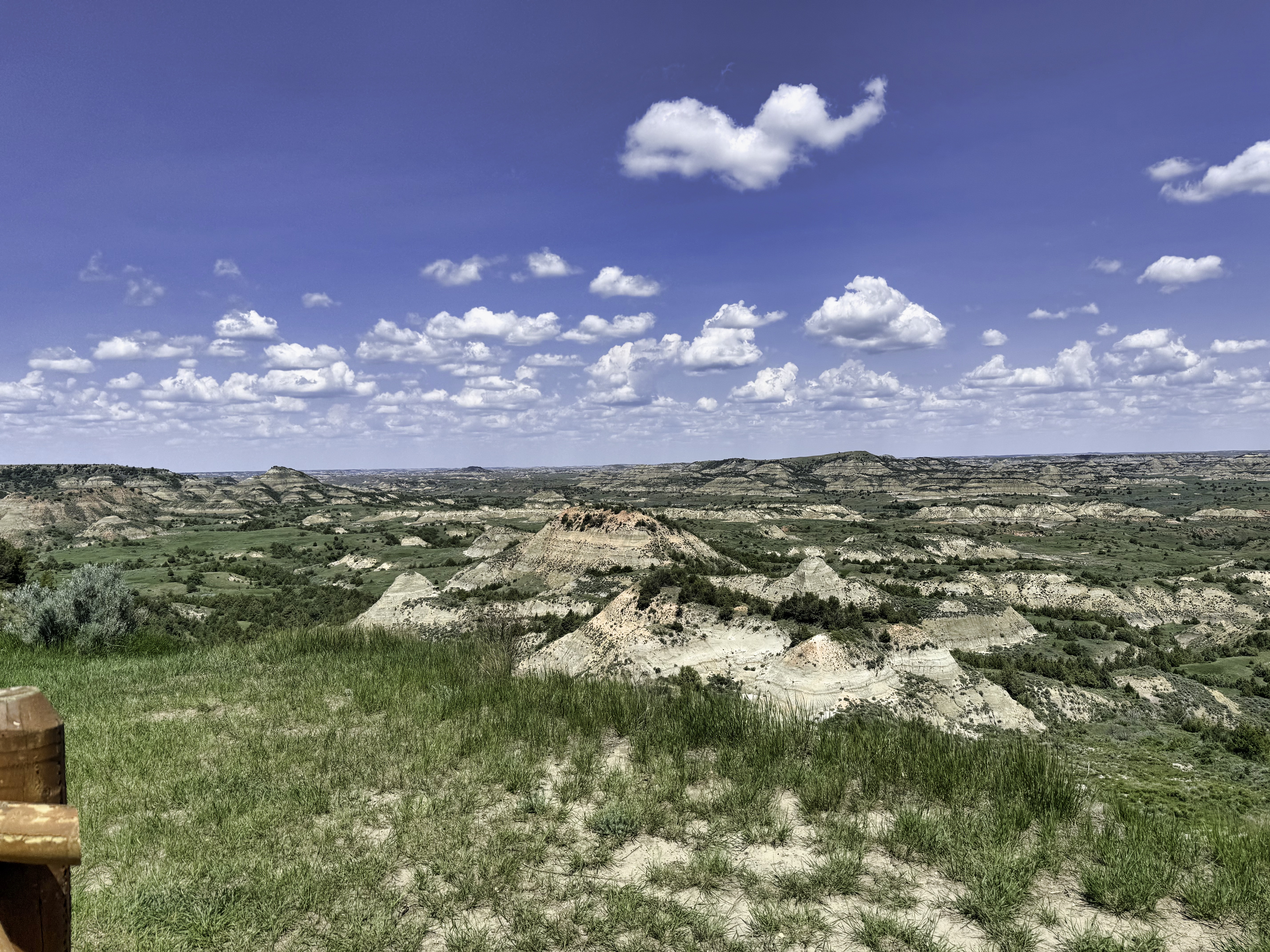 Theodore Roosevelt National Park