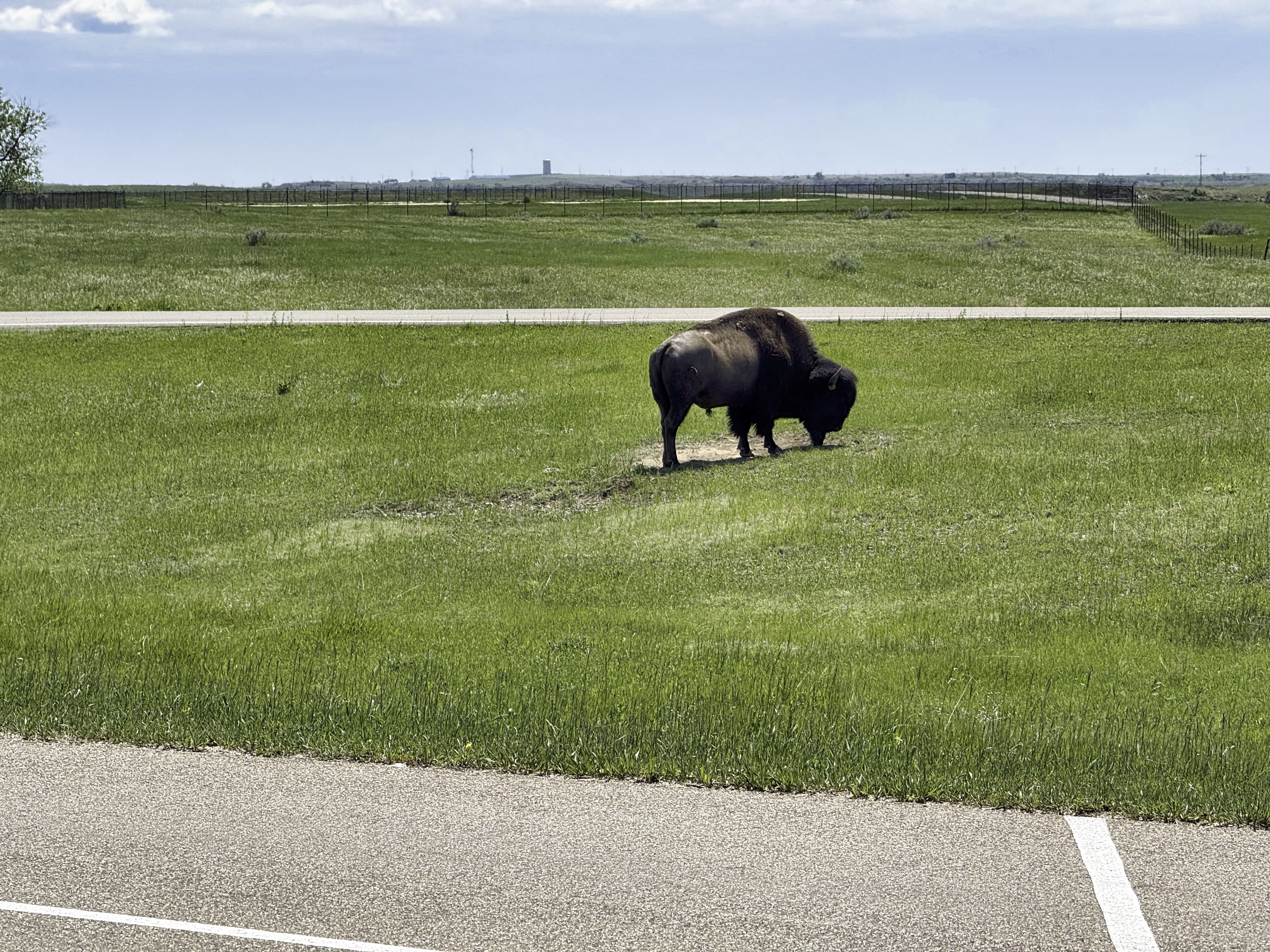 Theodore Roosevelt National Park