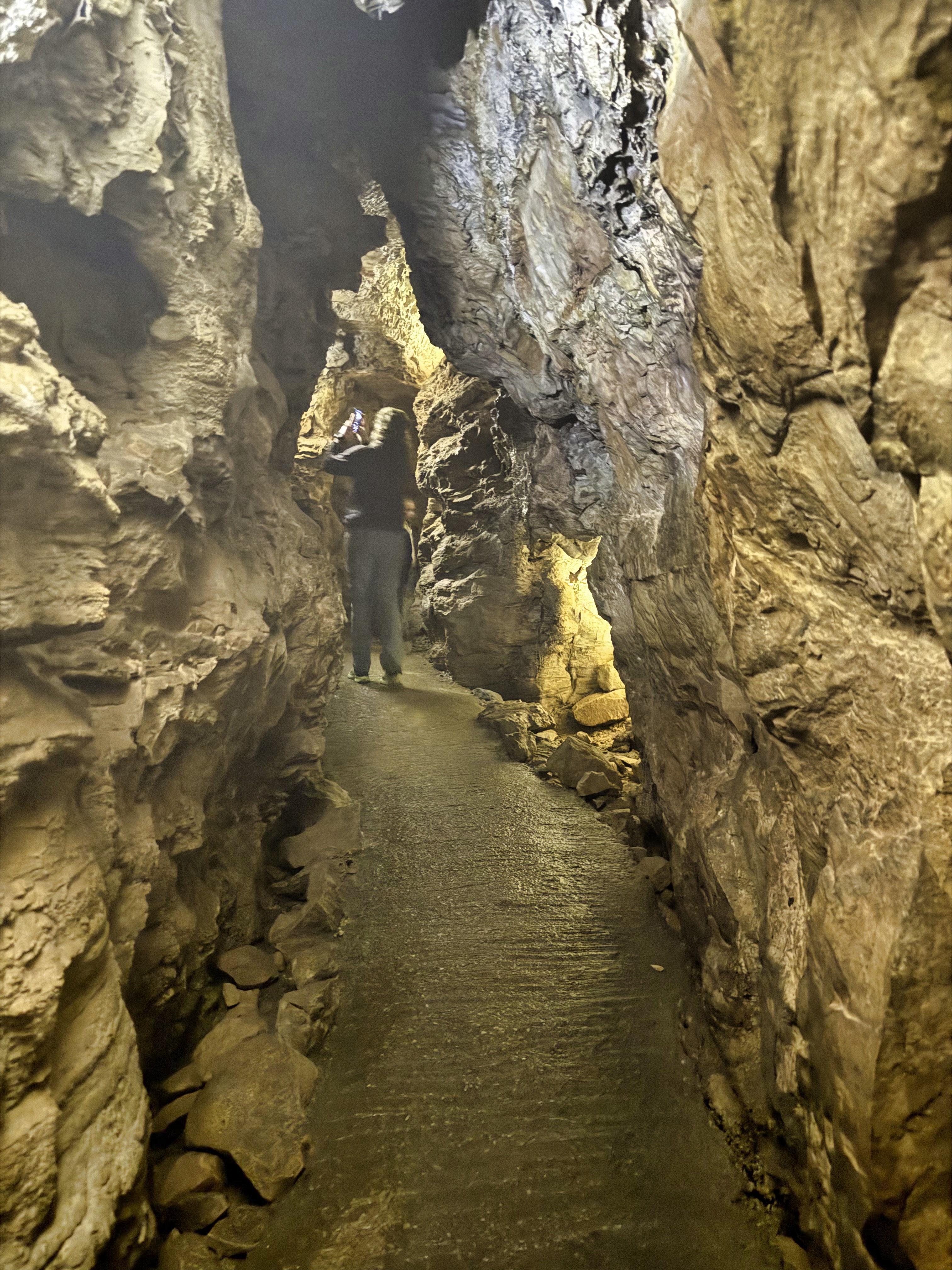 Wind Cave National Park