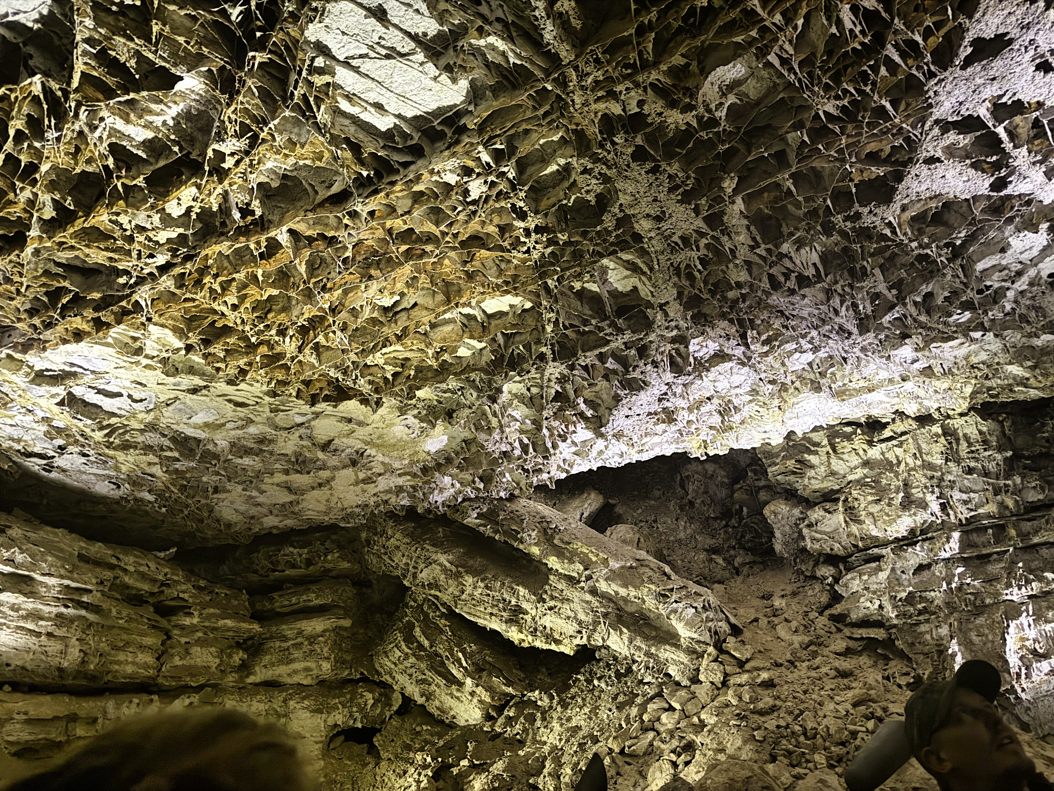 Wind Cave National Park