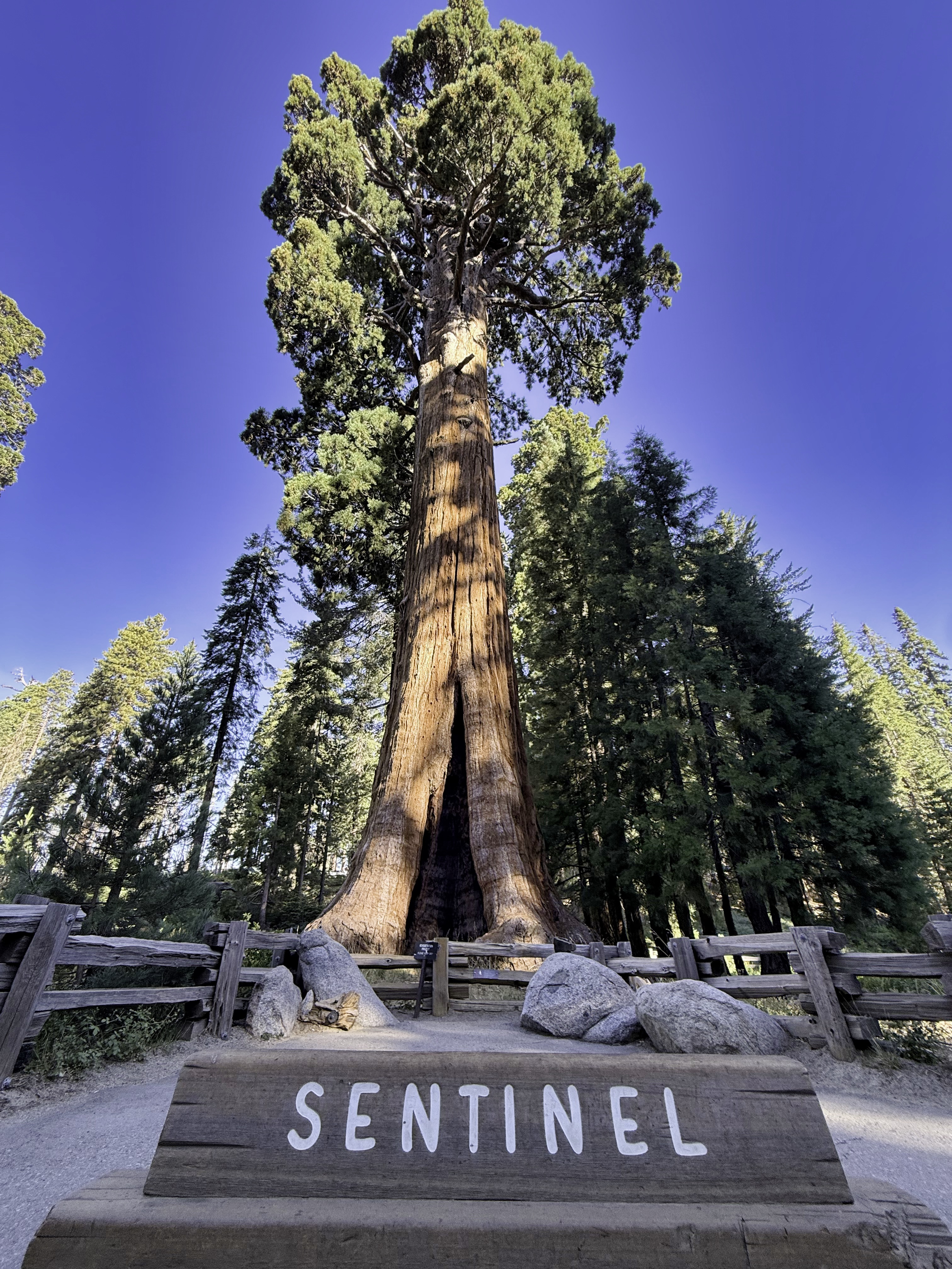 Sequoia National Park