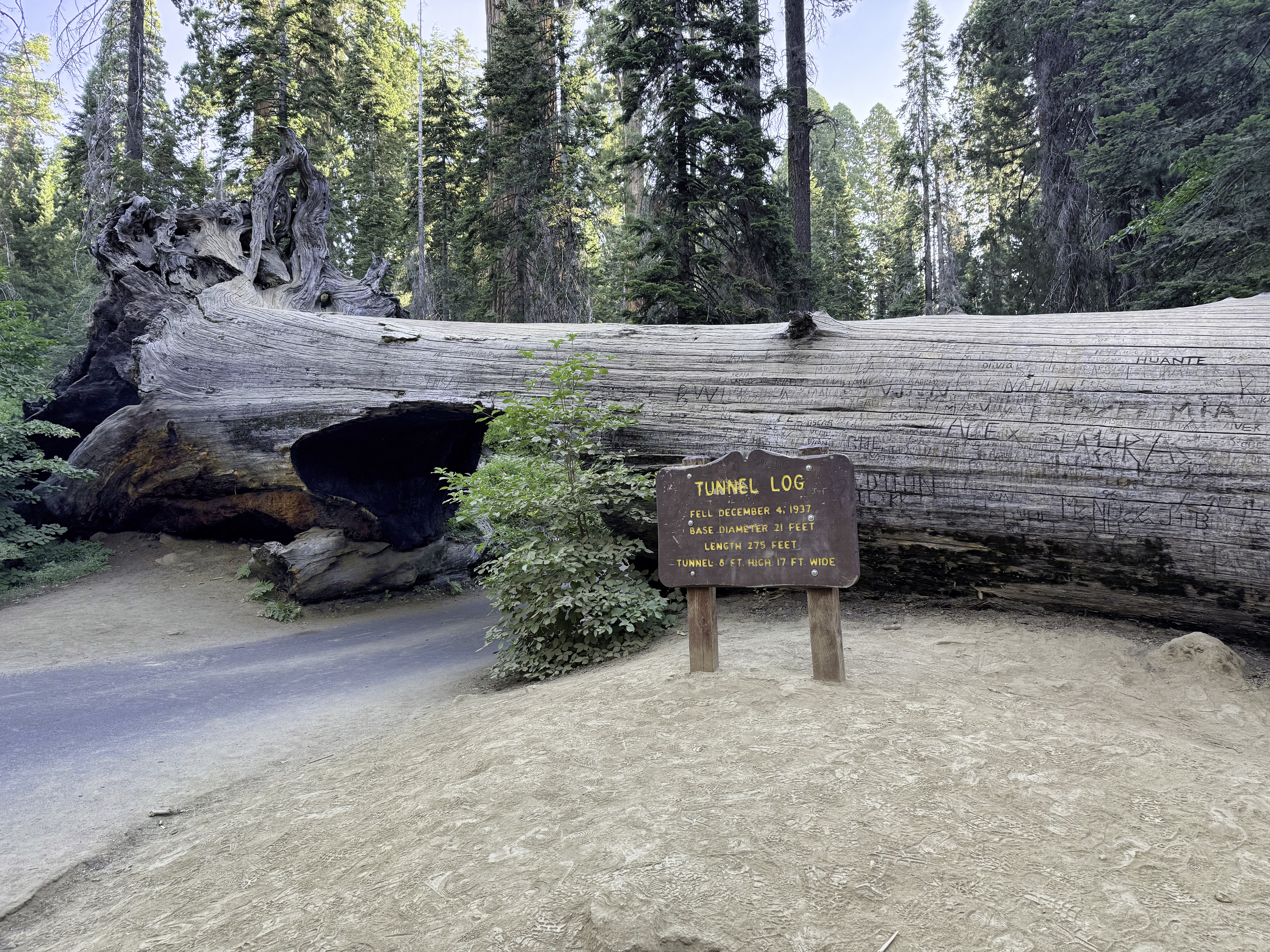Sequoia National Park
