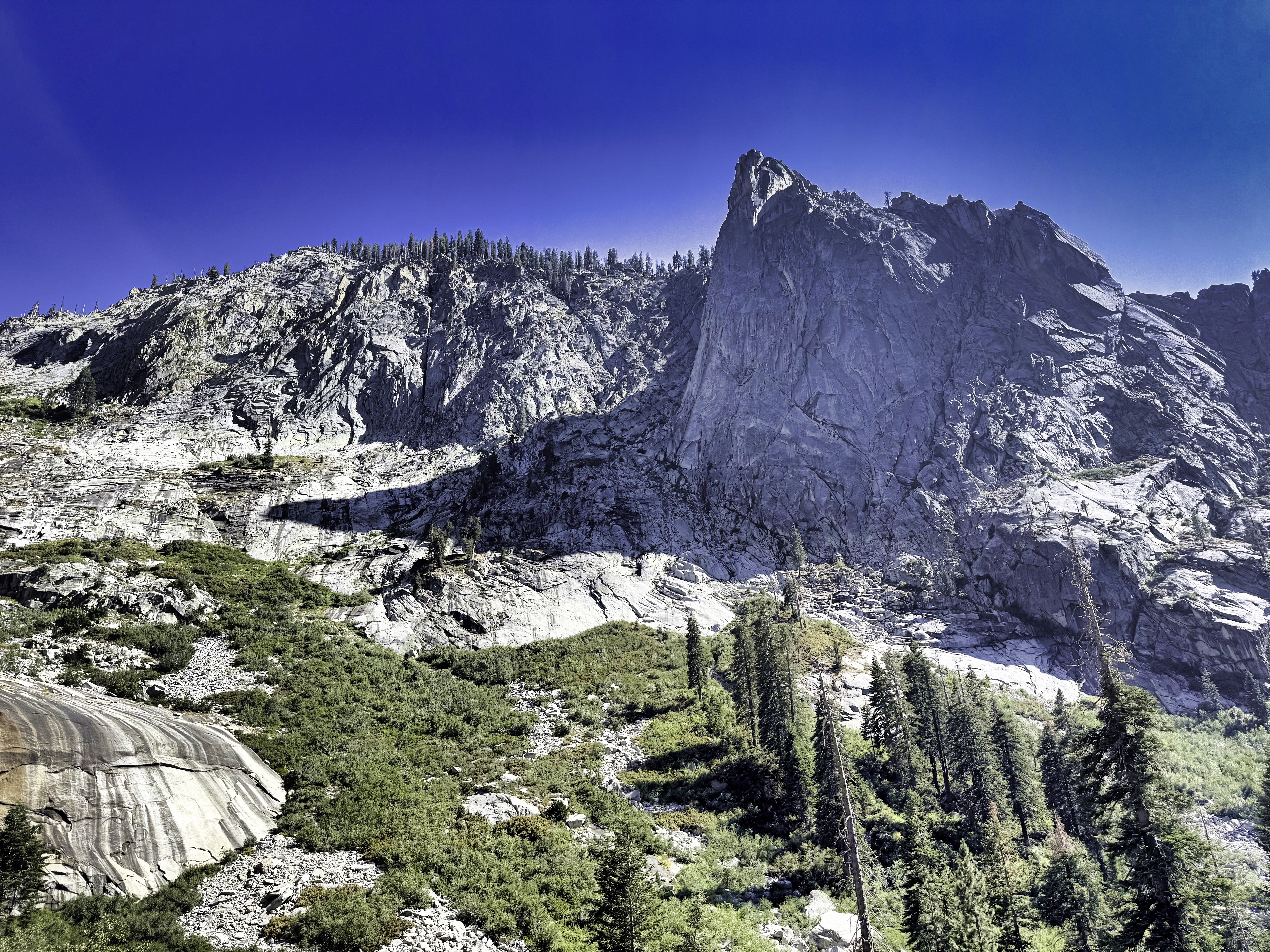 Sequoia National Park