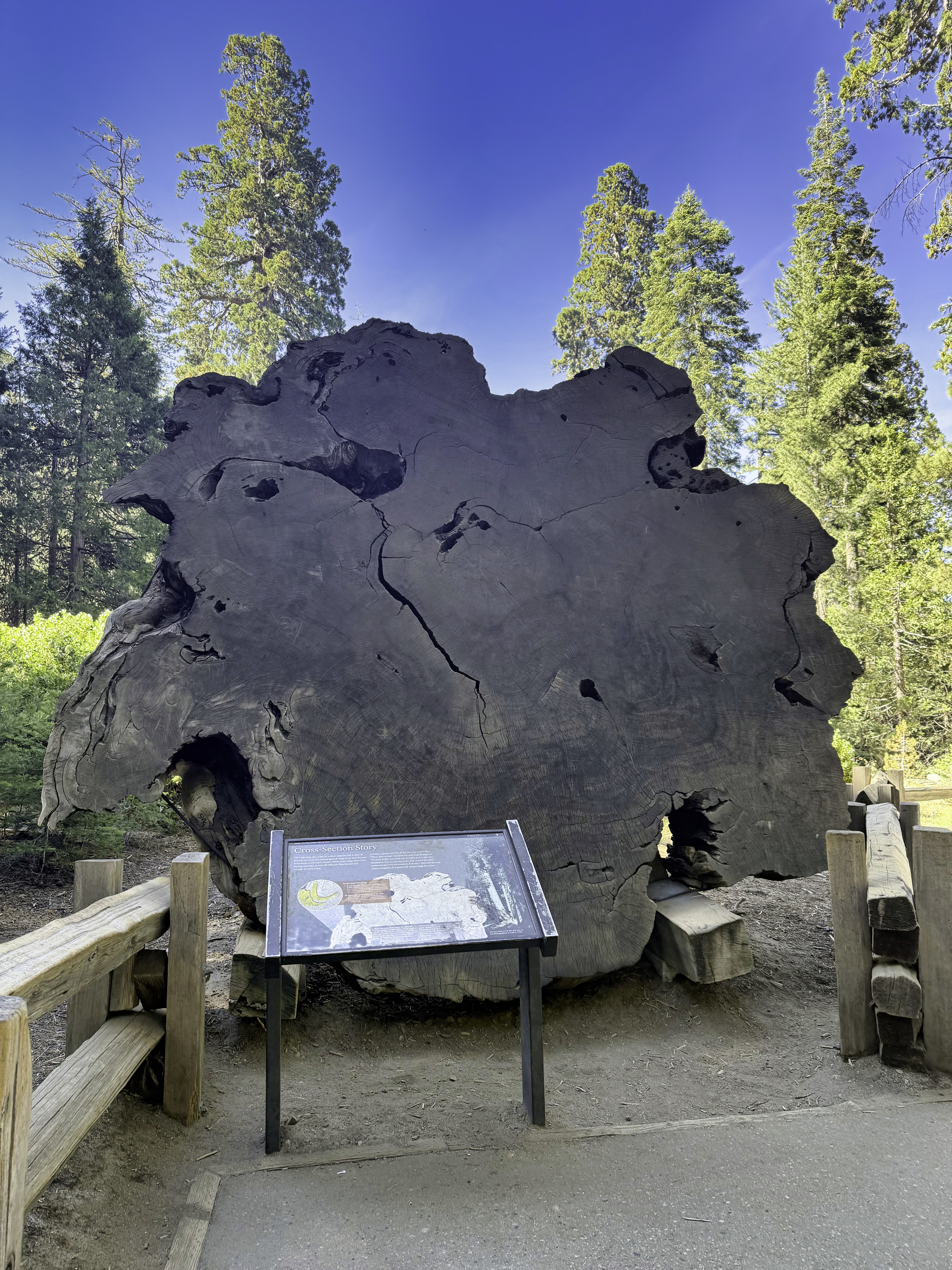 Sequoia National Park
