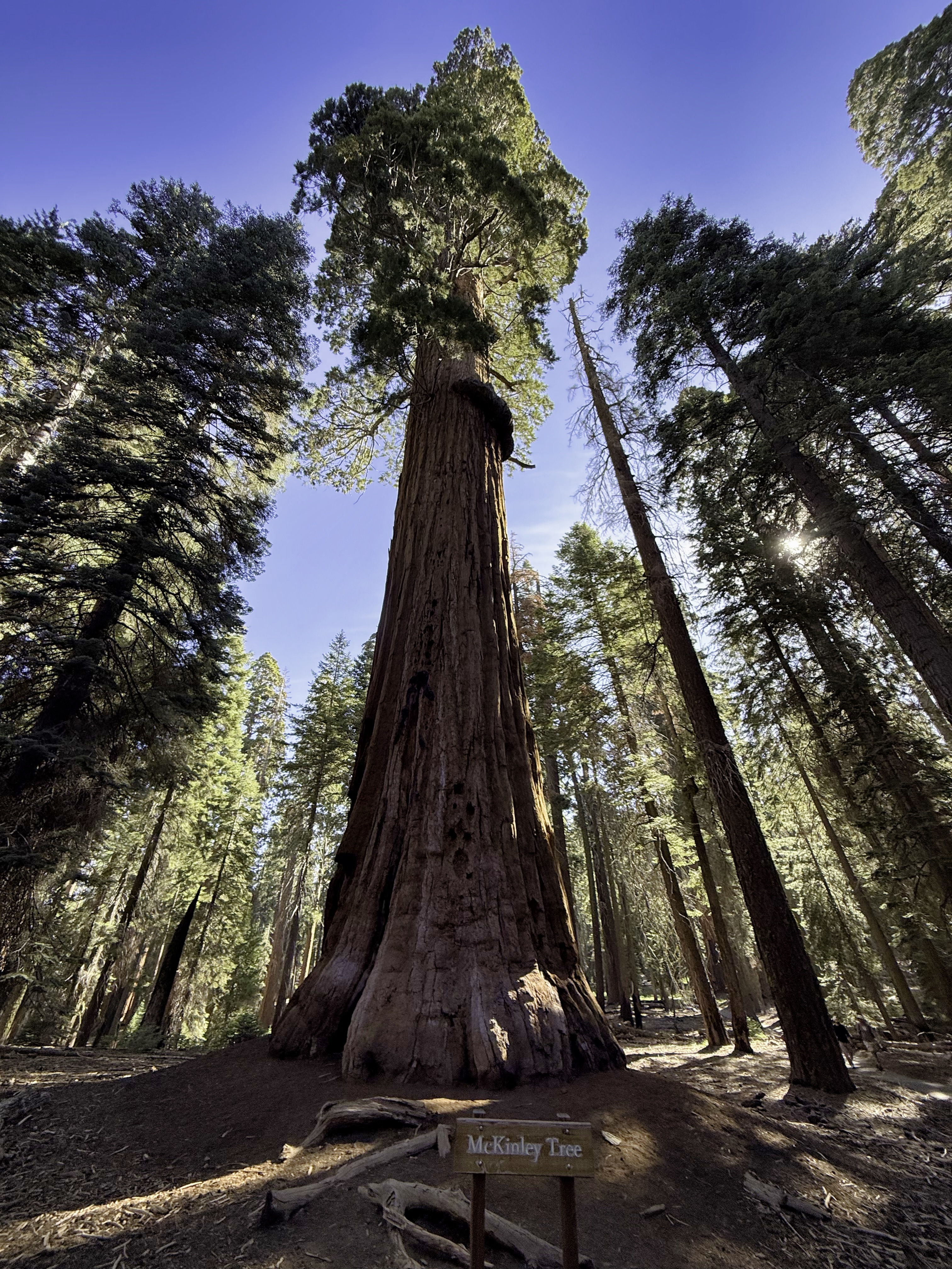 Sequoia National Park