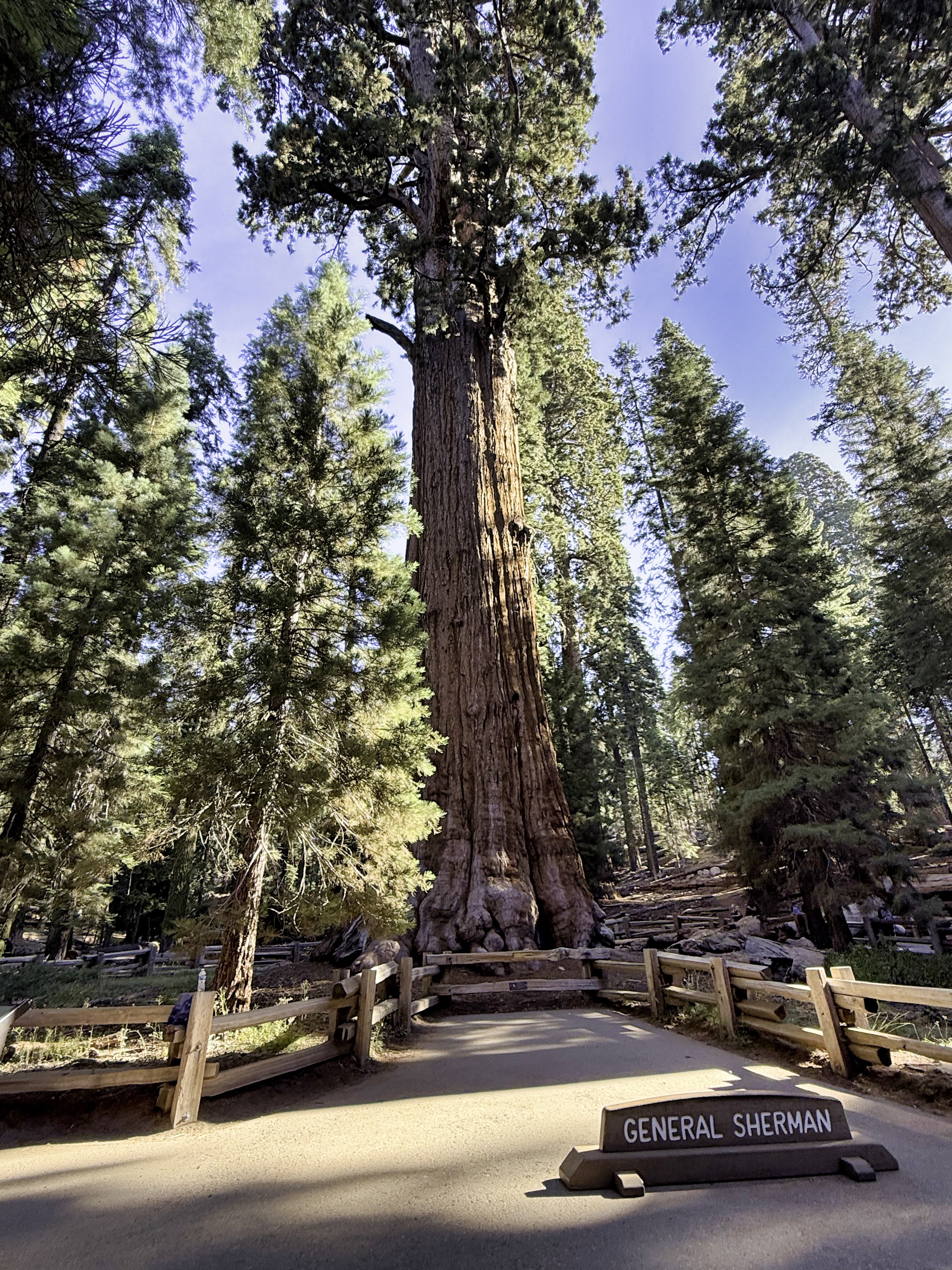 Sequoia National Park