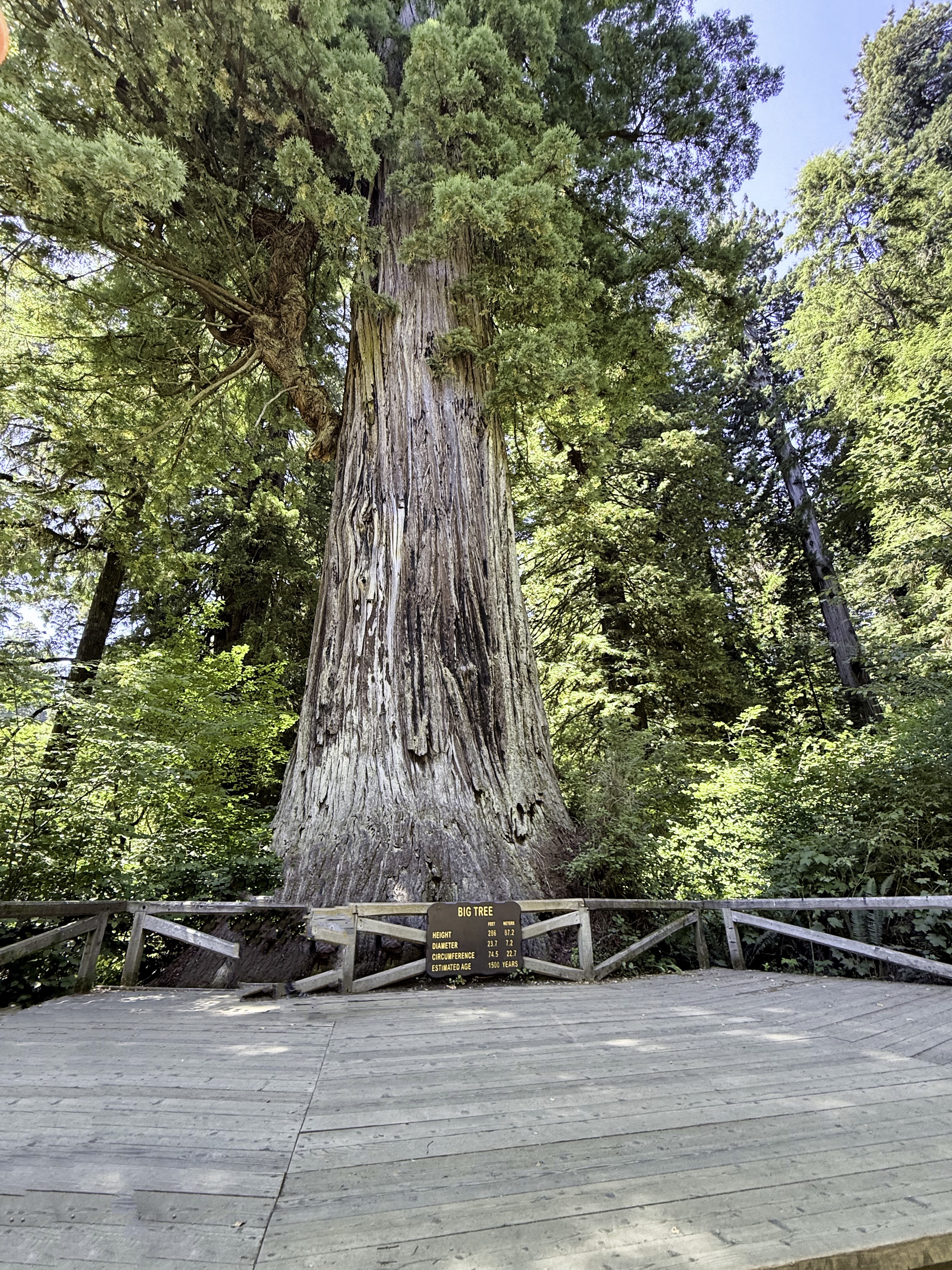Redwood National Park