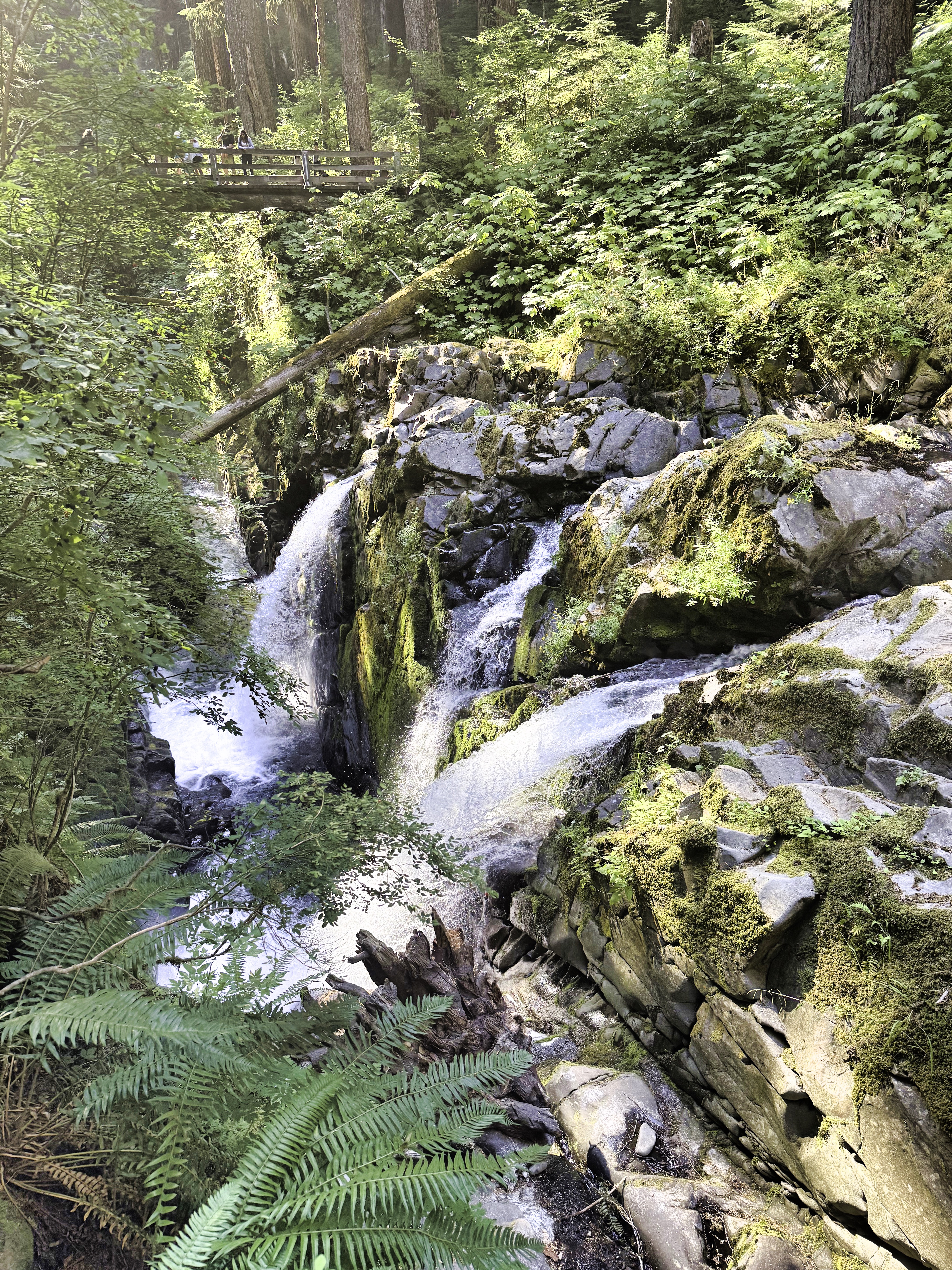 Olympic National Park