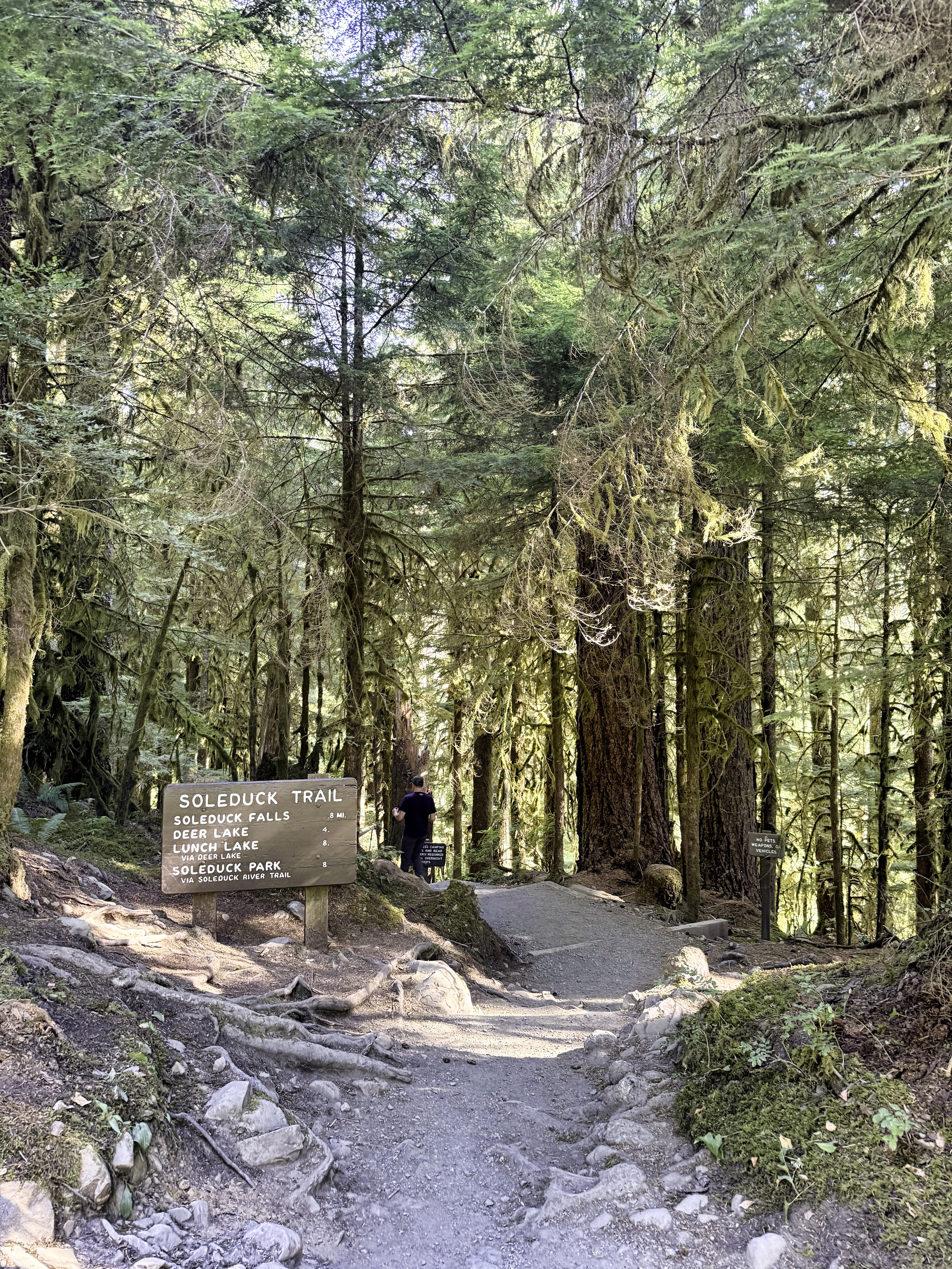 Olympic National Park