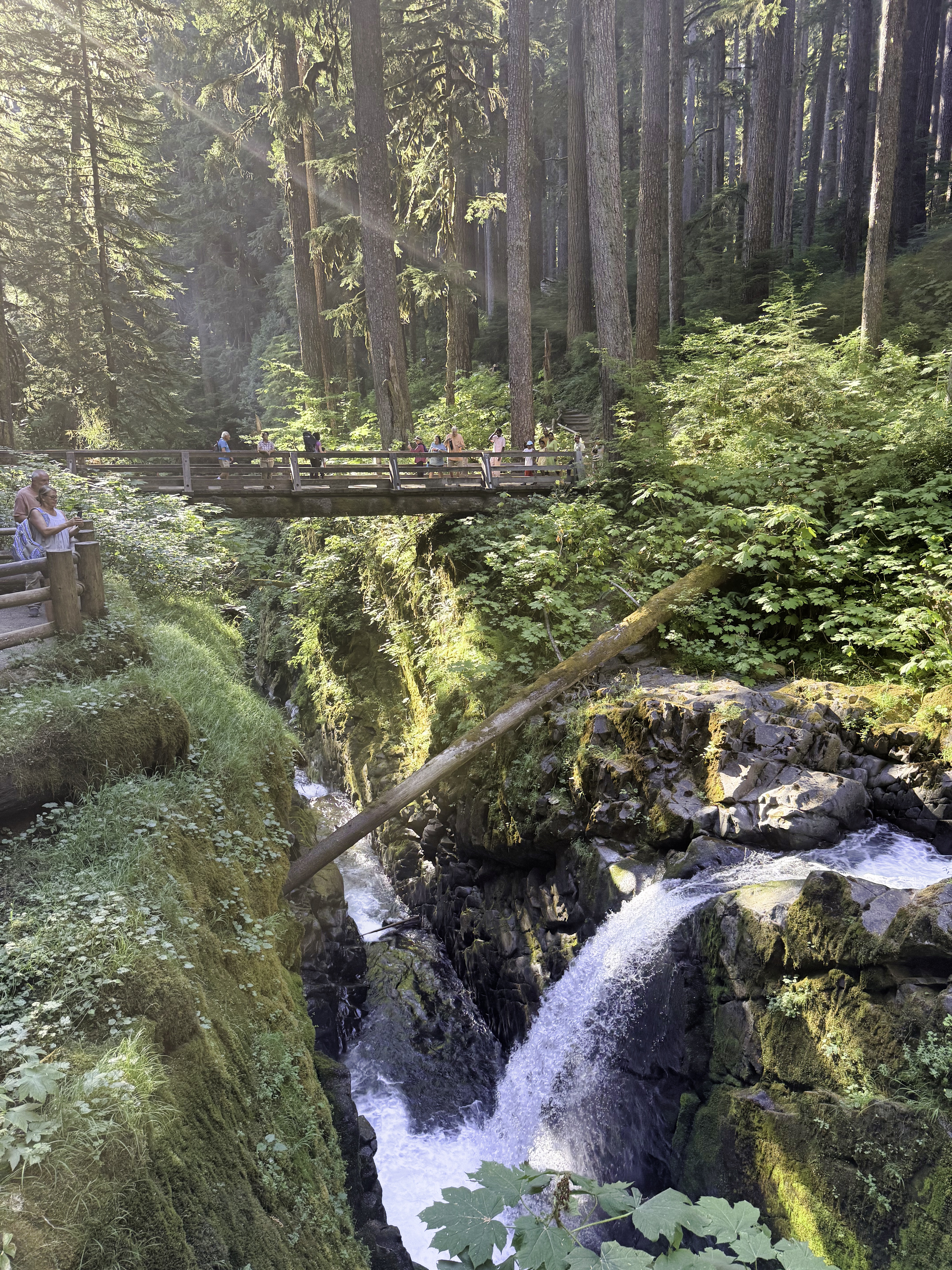 Olympic National Park