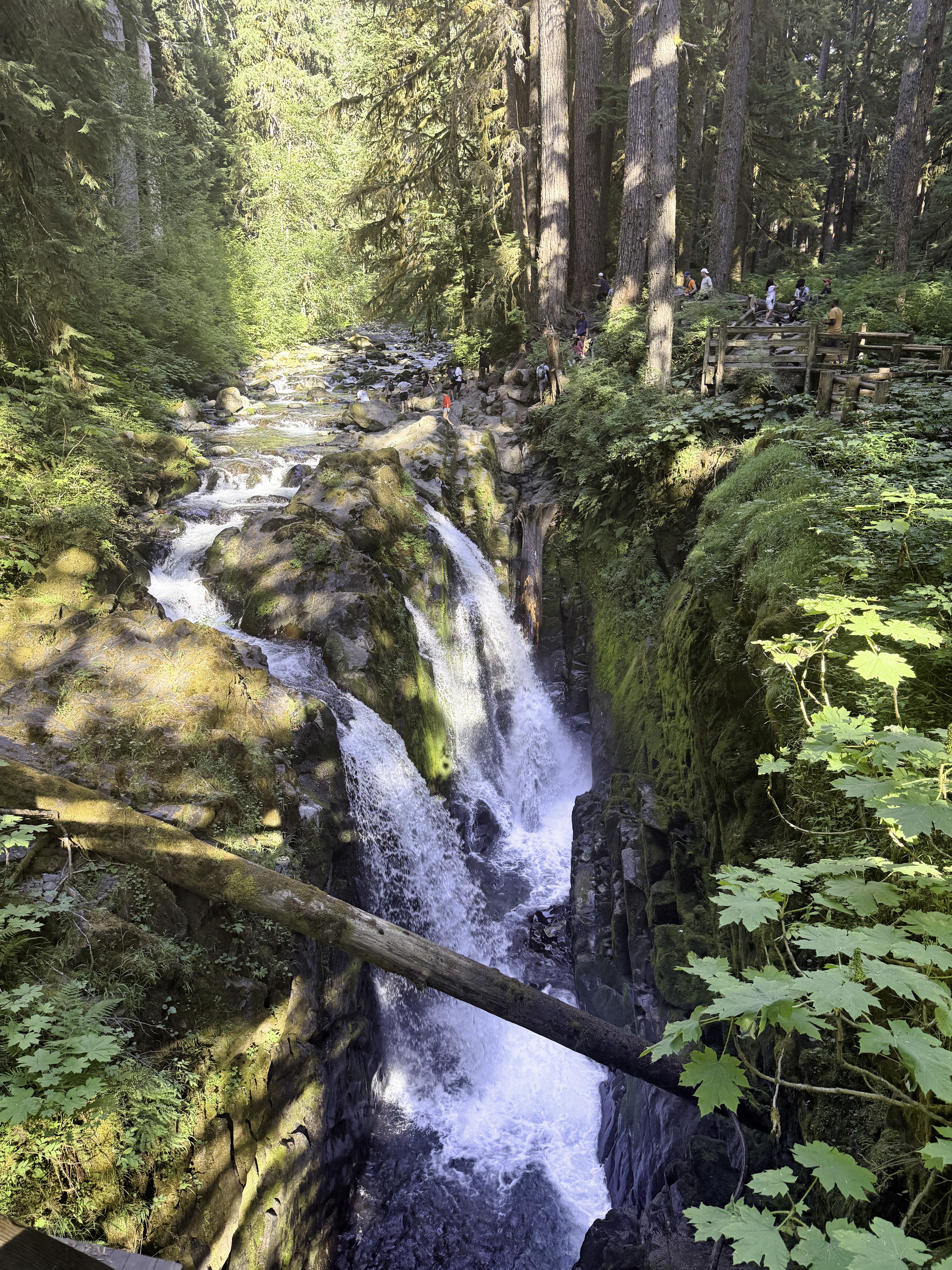 Olympic National Park