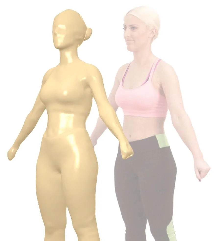 3D model