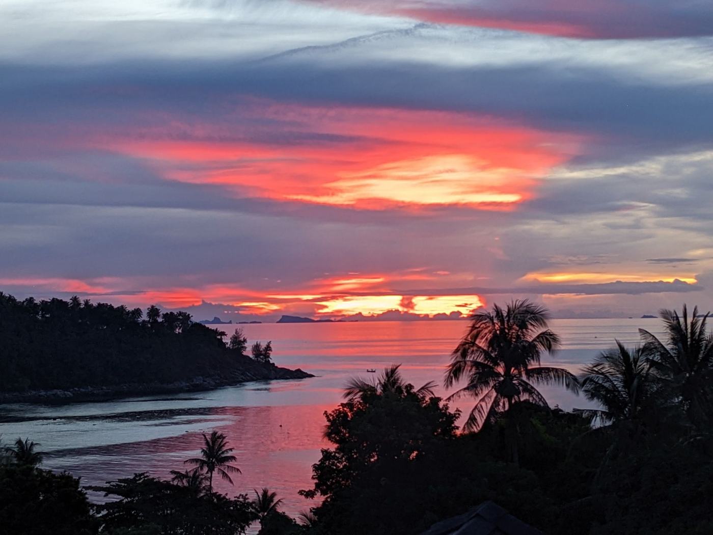 Coral and pink sunset clouds over the sea with palms in silhouette