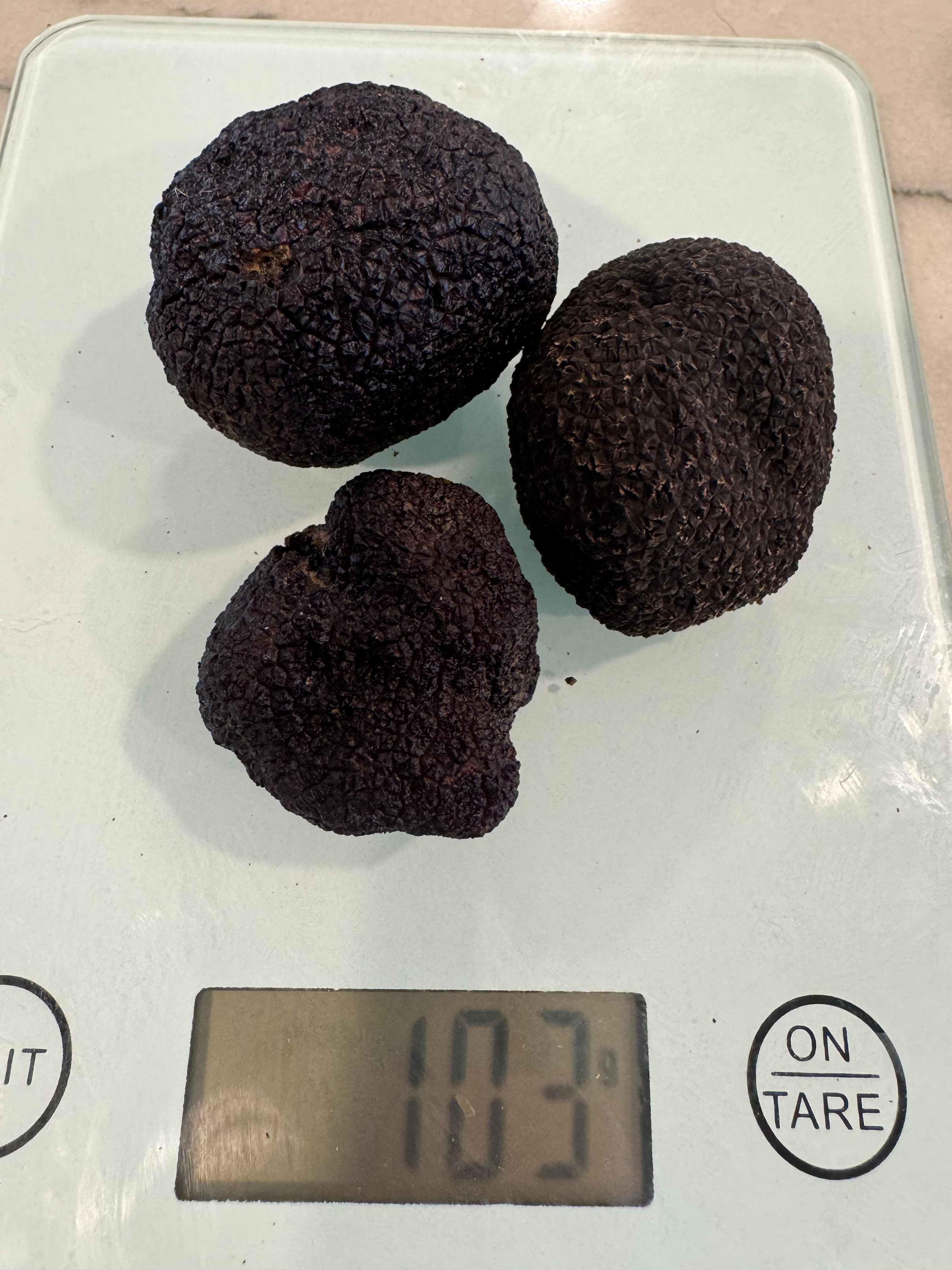 Real fresh Australian black truffles for the Family Gathering Pack