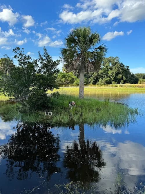 land development in Okeechobee