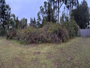 {{ custom_values.service_2 }} in {{custom_values.area_7})