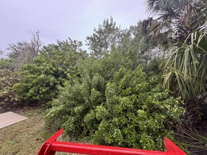 {{ custom_values.service_3 }} in {{custom_values.area_7})