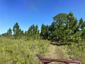 {{ custom_values.service_2 }} in {{custom_values.area_7})