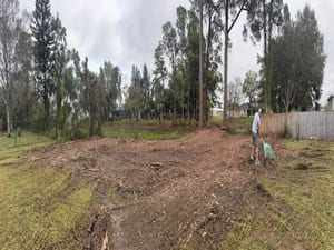 {{ custom_values.service_4 }} in {{custom_values.area_7})