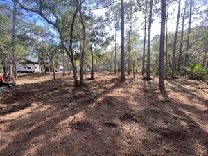 {{ custom_values.service_3 }} in {{custom_values.area_7})