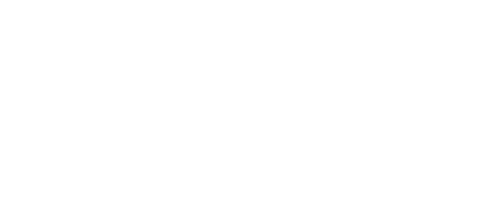 DELANEY PROJECTS