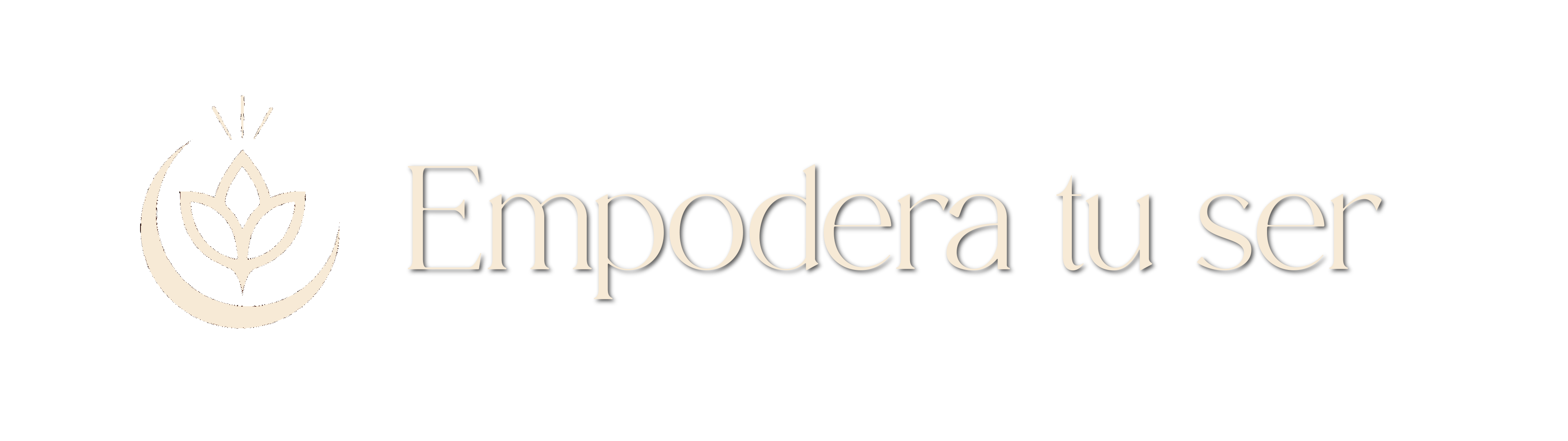 Descripción de la imagen