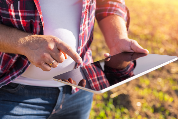 AI for homesteading AI for homesteading