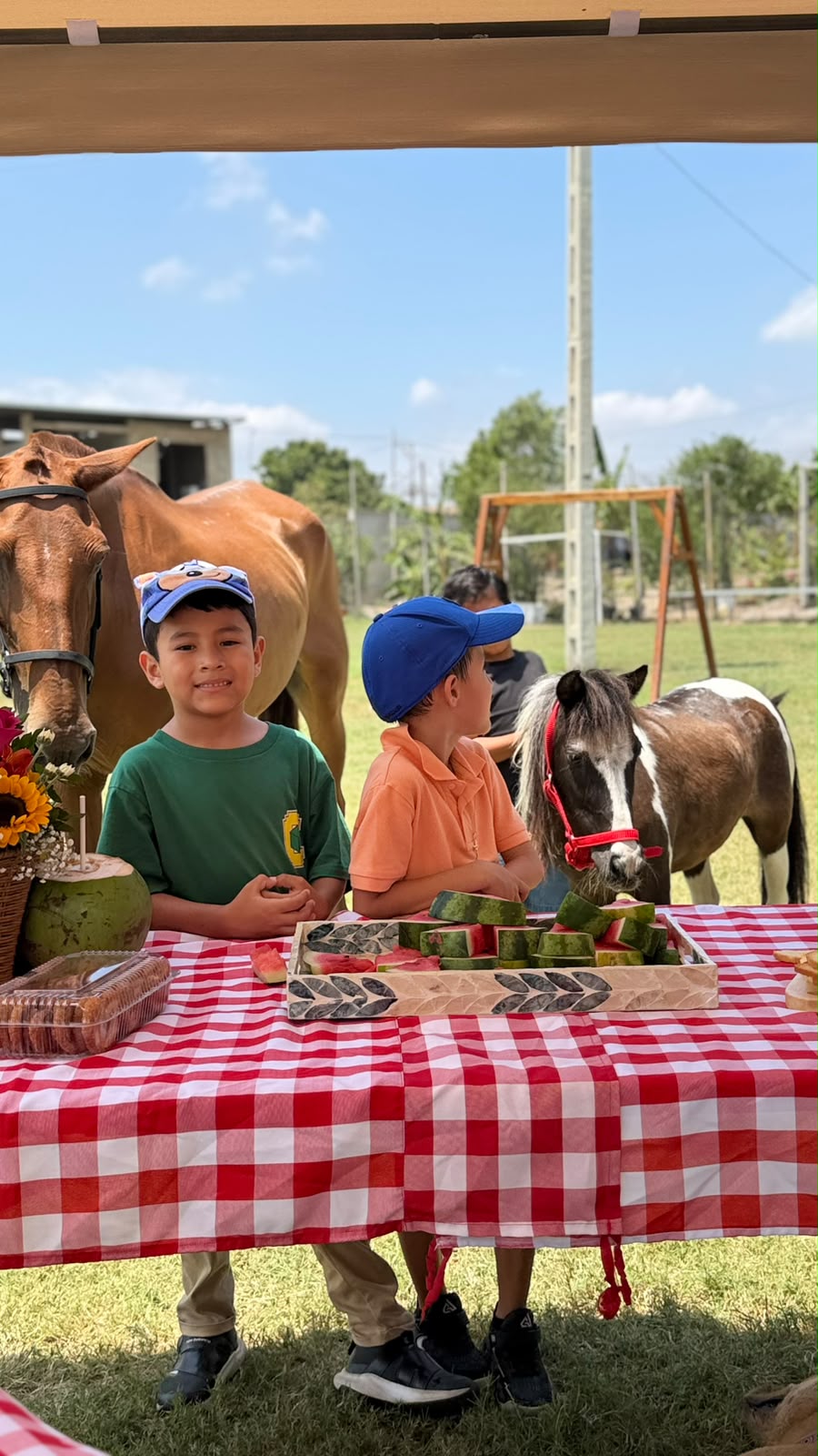 Niños compartiendo con ponis en Fauné