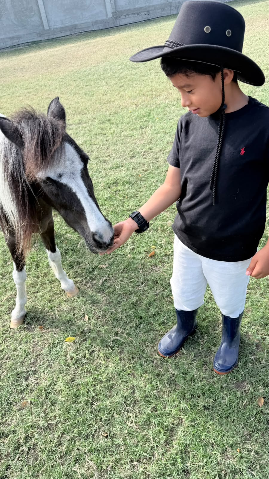 Niño alimentando a un pony en Fauné