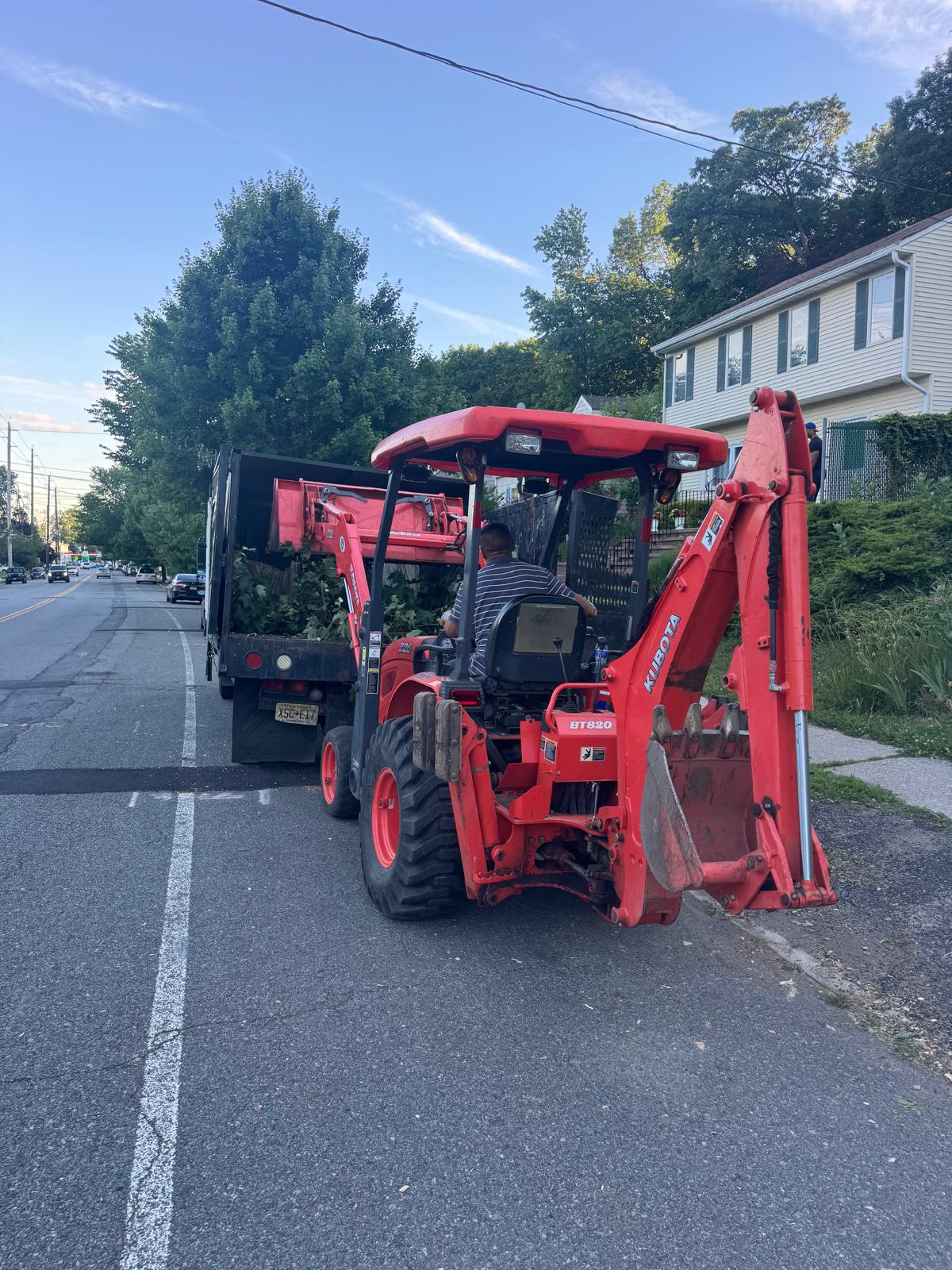 Large tree trunks removed during tree service project