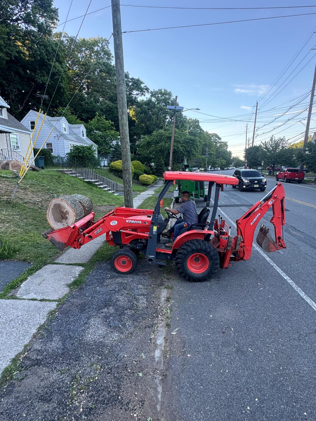 Residential tree service project by Tames Tree Services in Morris Plains NJ