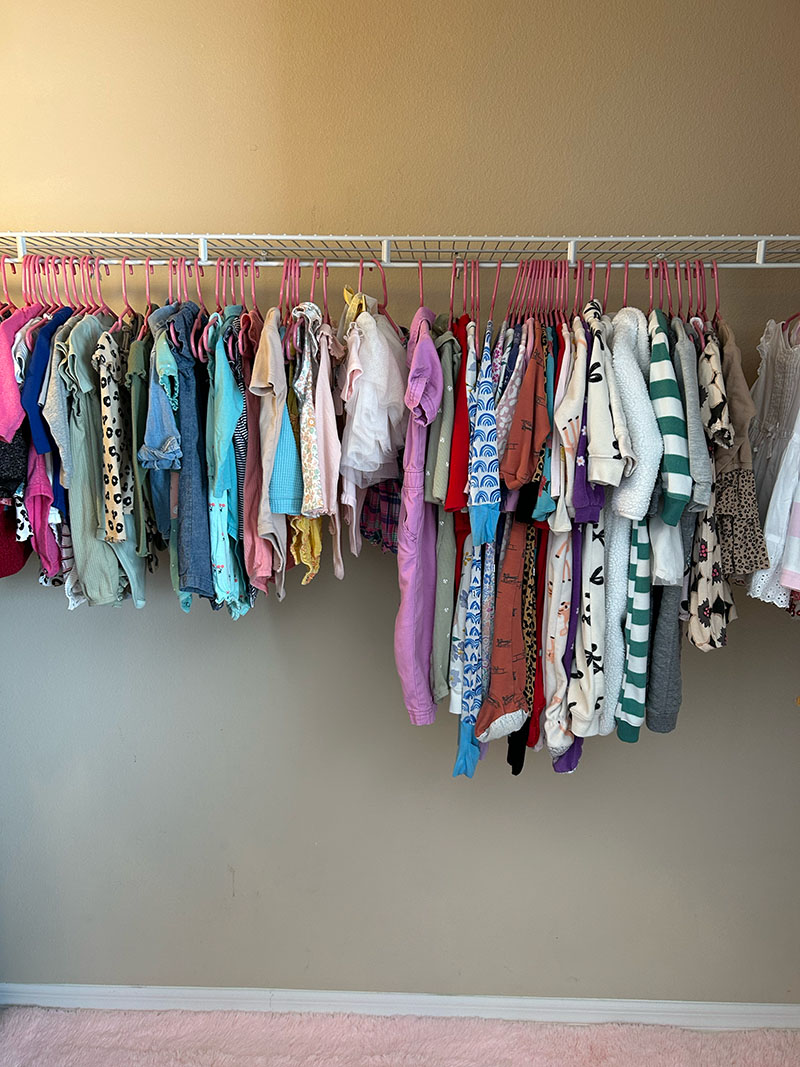 Before — custom closet project 6 by Up Closets of Delaware
