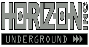 Bobbi Fair business logo