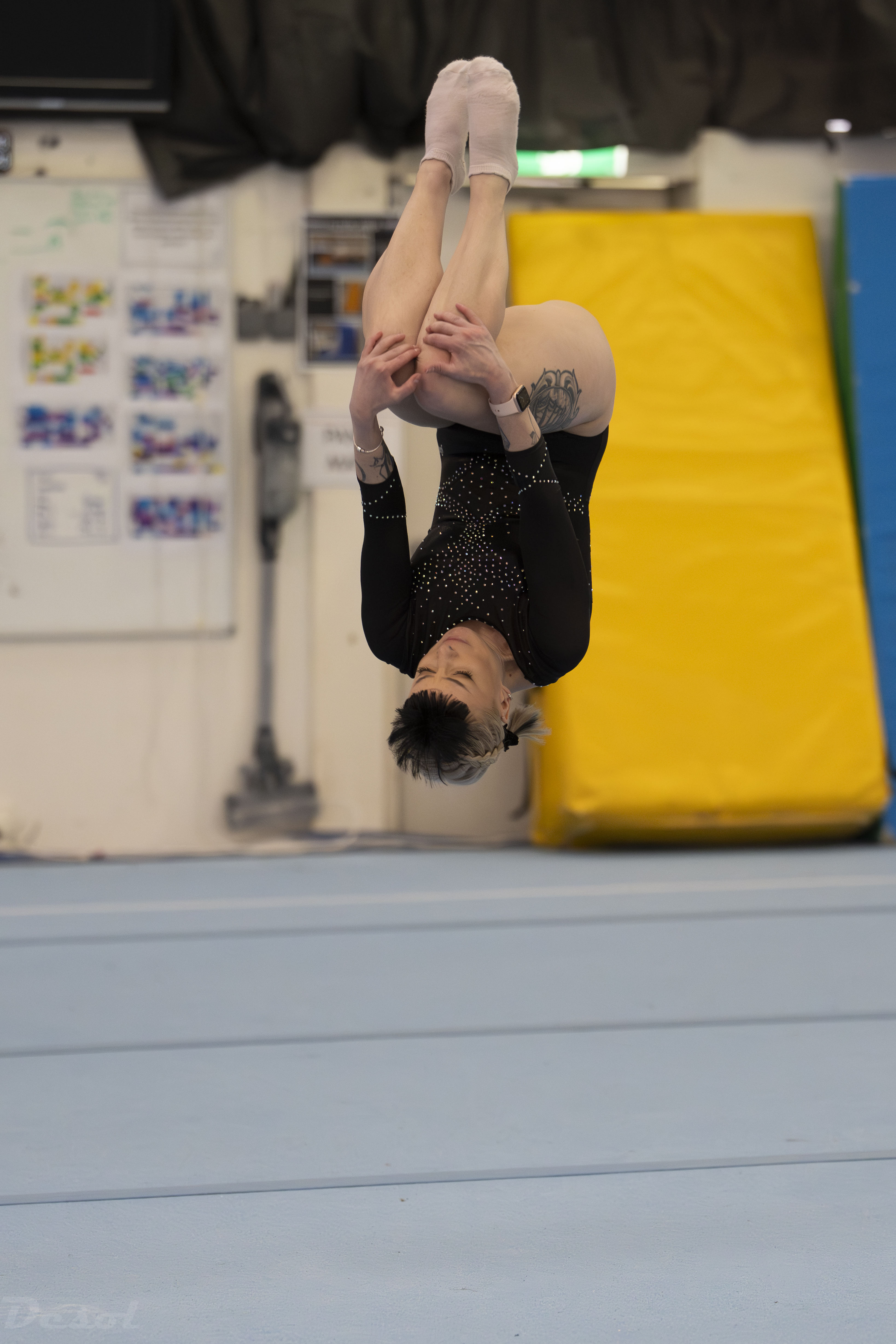 Peak Masters Competition floor