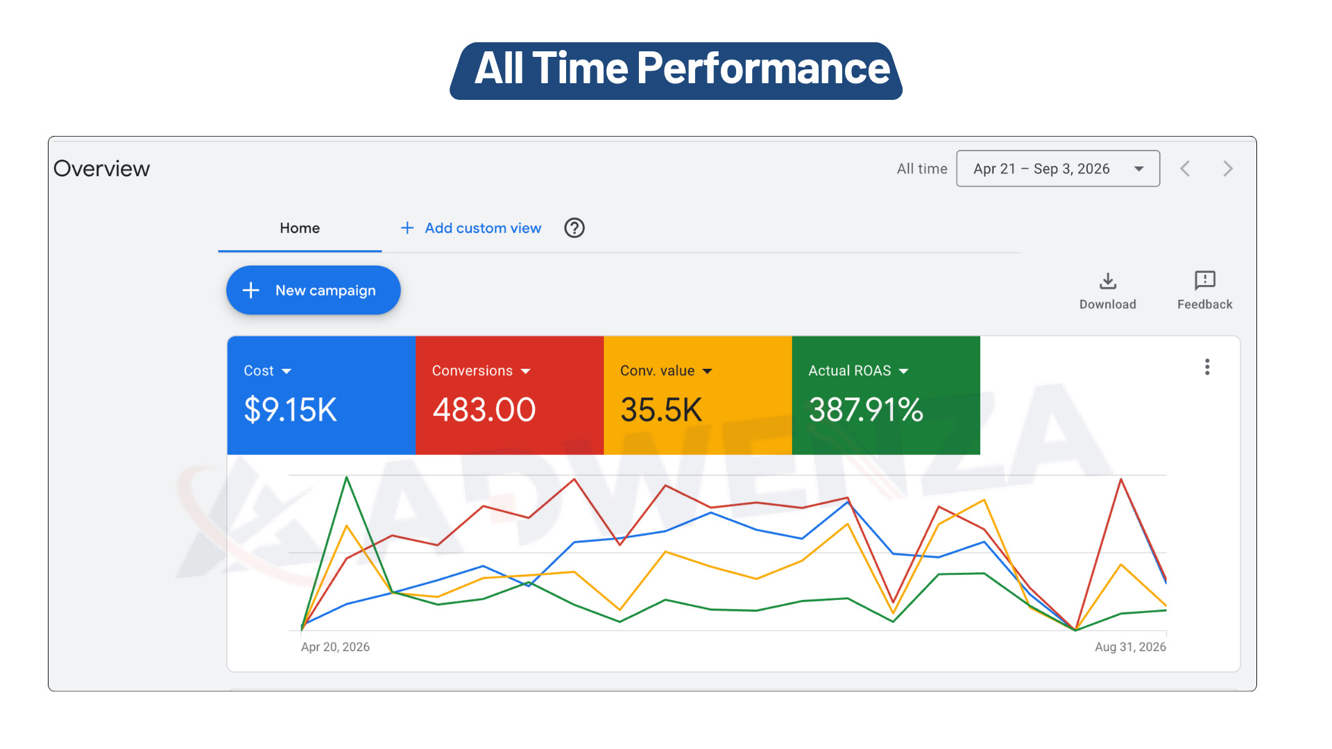 Wylde Grey Google Ads ecommerce account overview