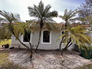 {{ custom_values.service_1 }} in {{custom_values.area_5})